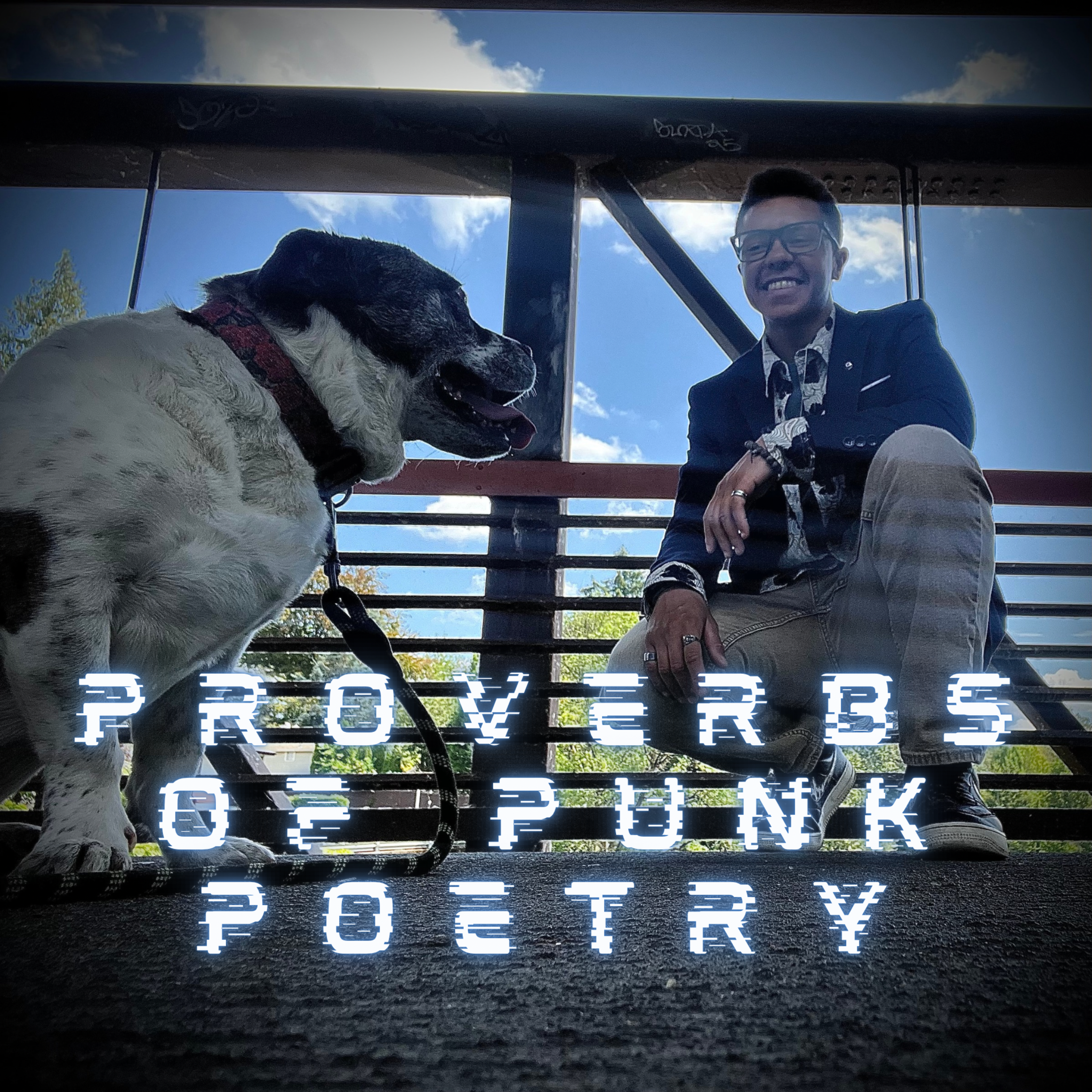 Proverbs of Punk Poetry artwork