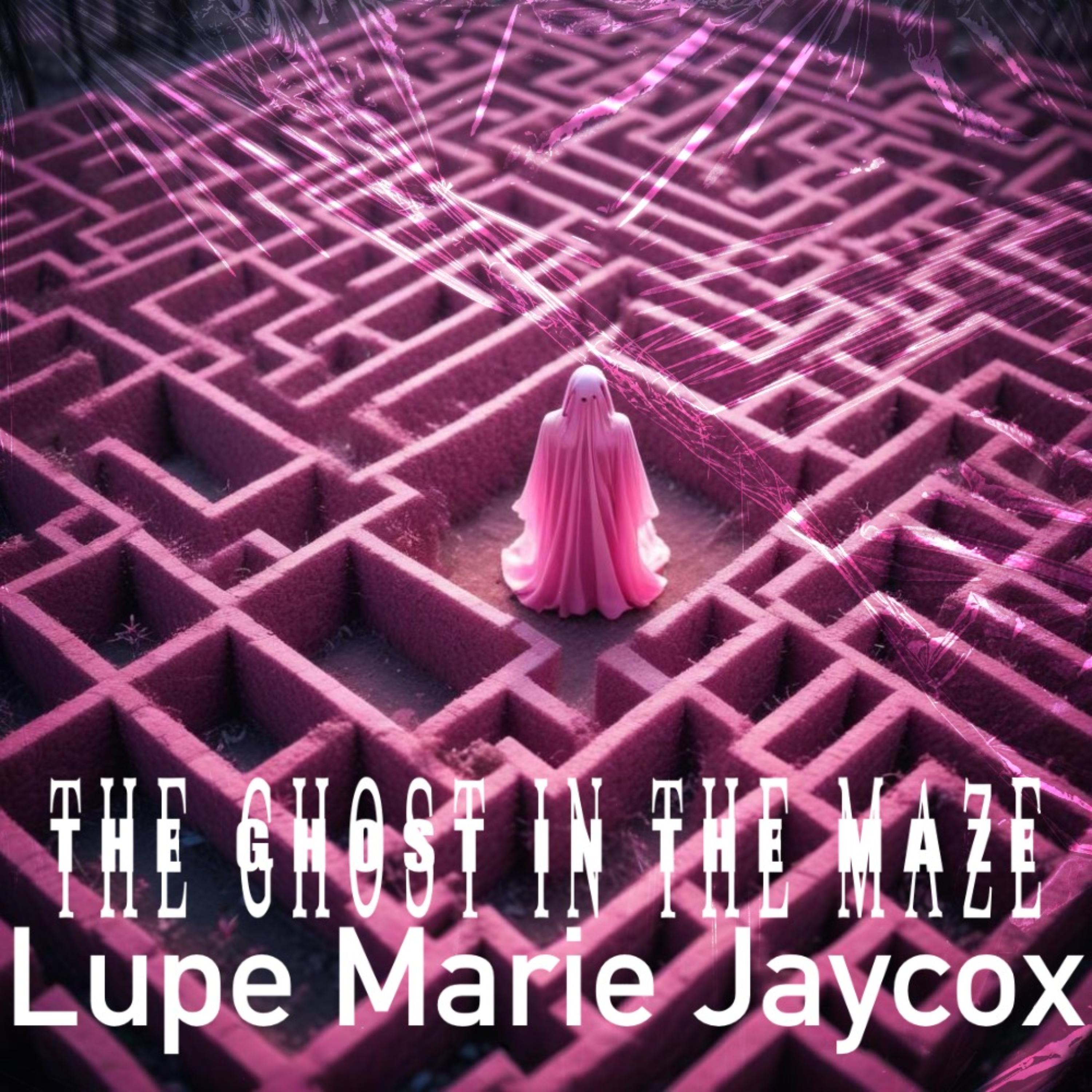 The Ghost In The Maze artwork