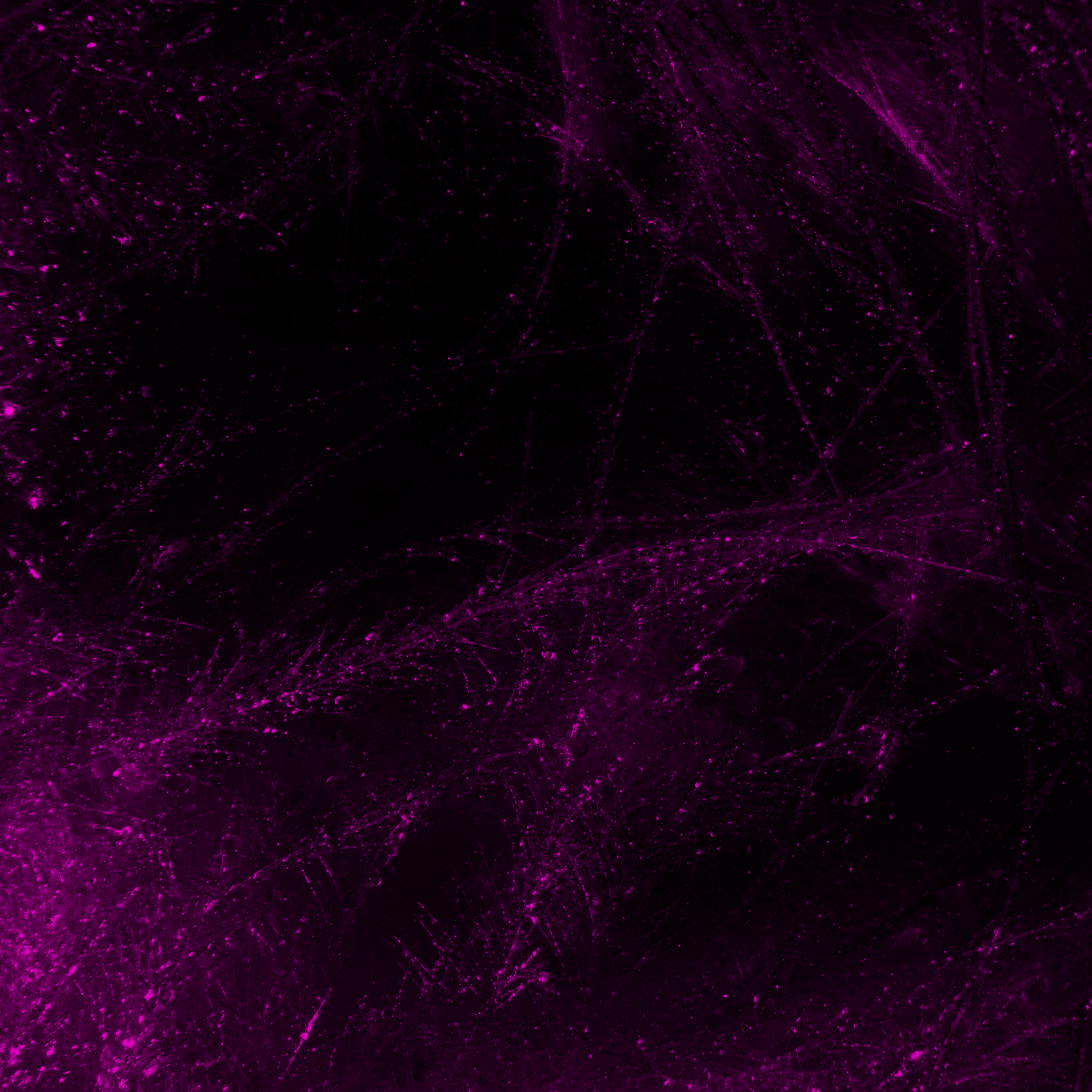 Pink Planet artwork