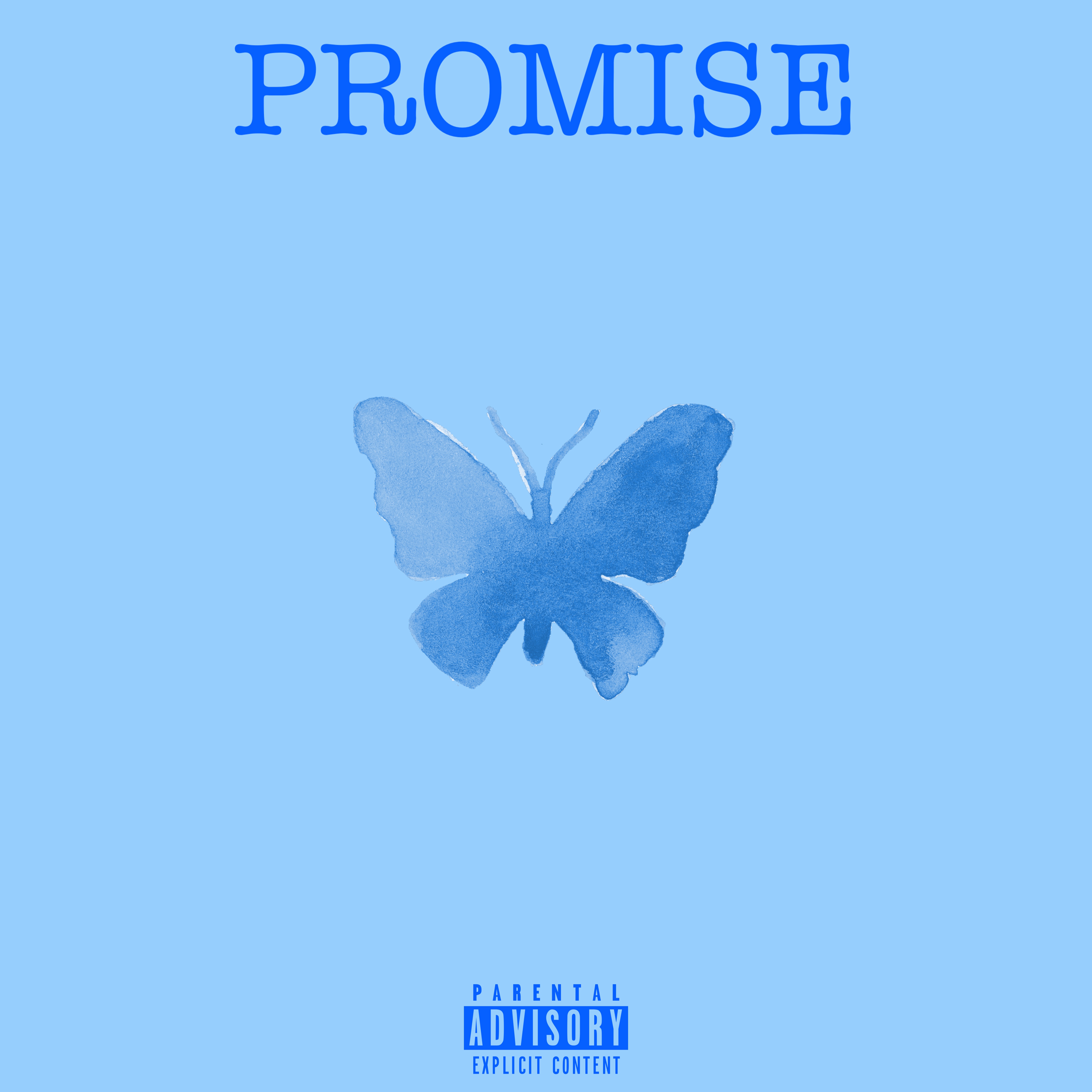 PROMISE artwork