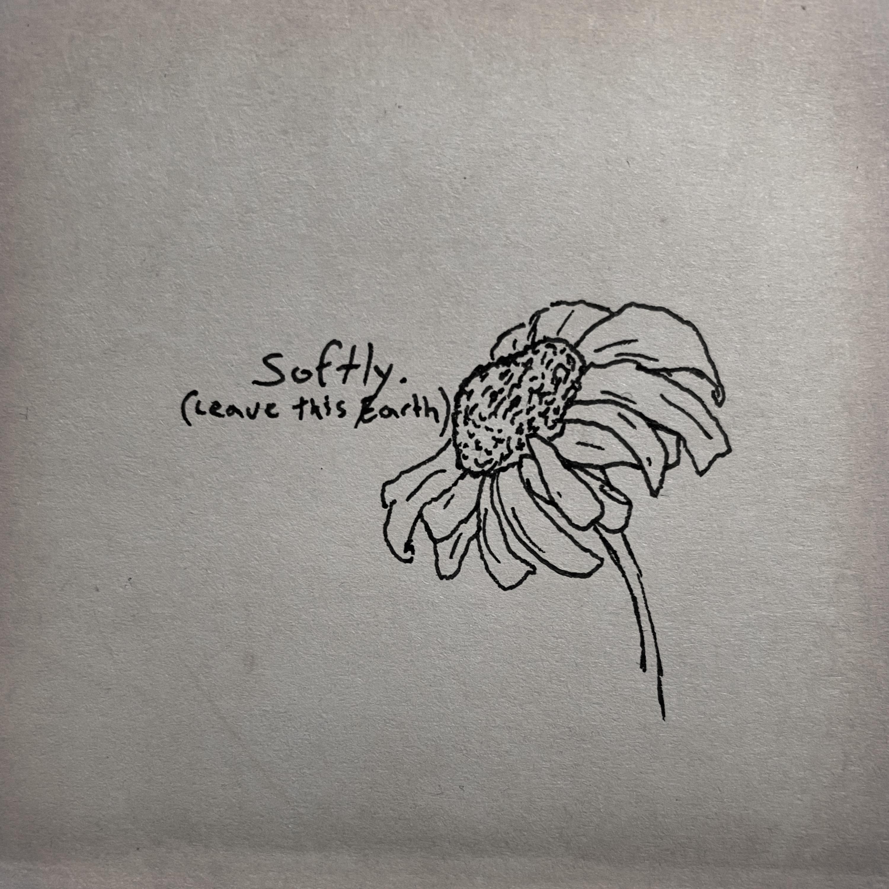 Softly (Leave This Earth) artwork