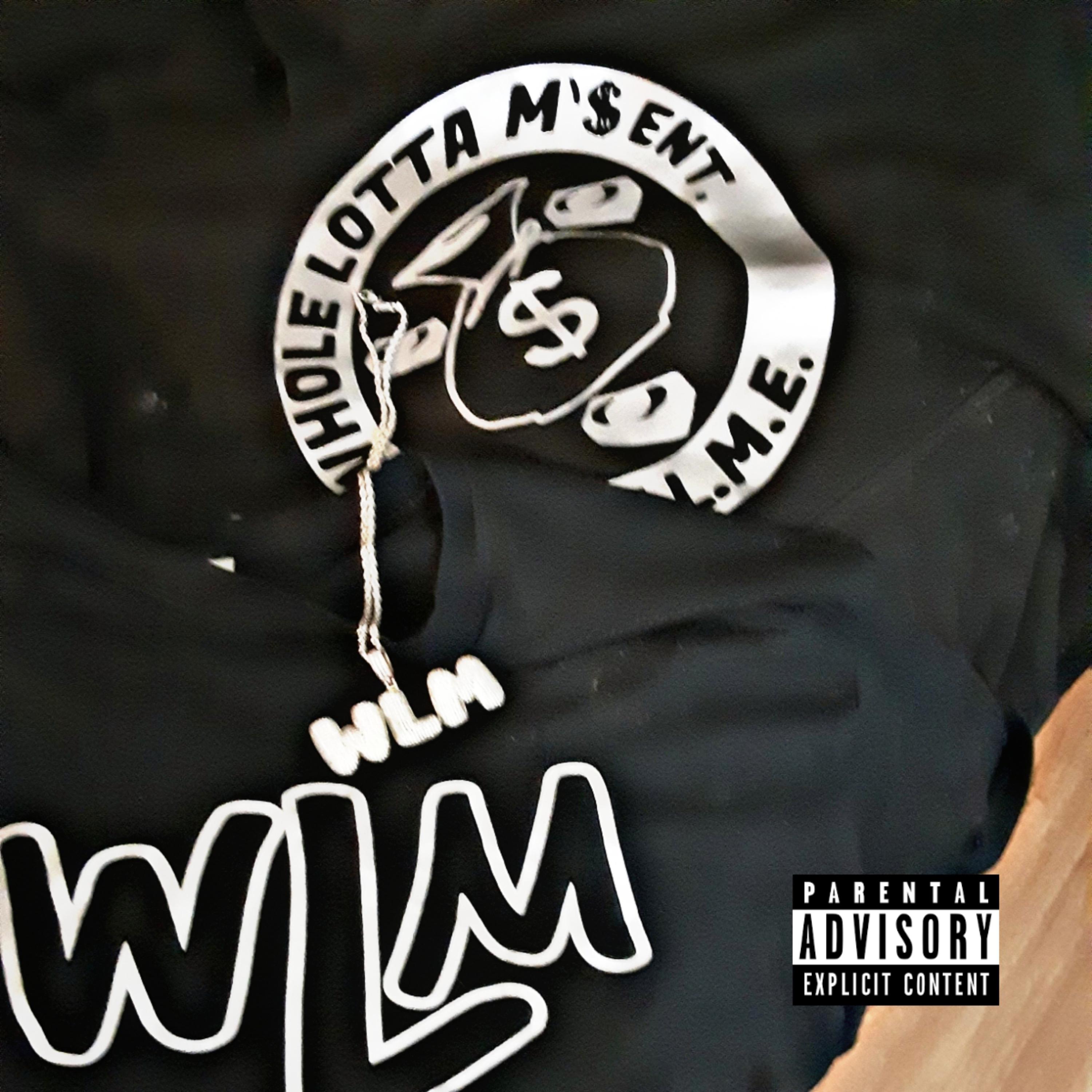 Fuck Em All 2 artwork