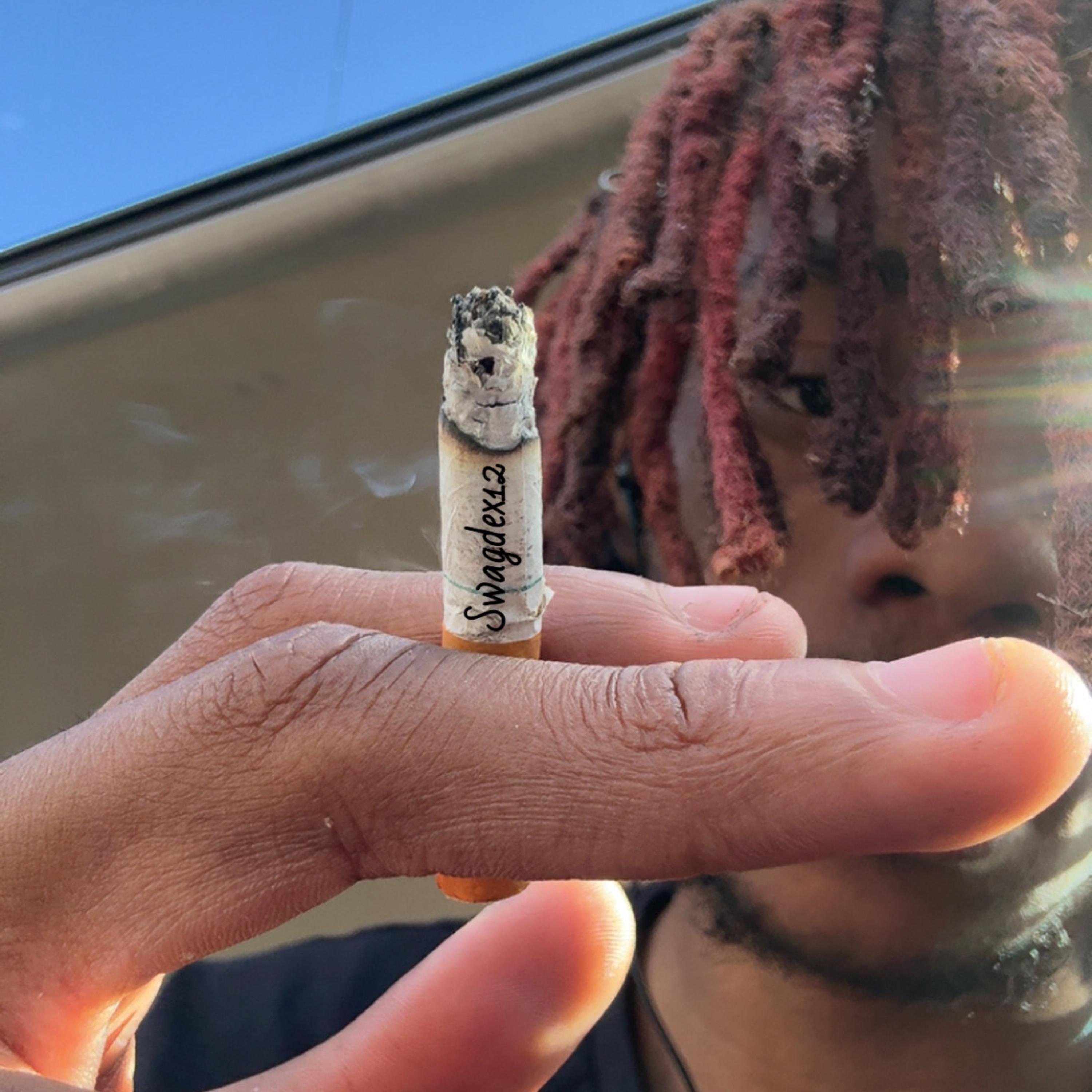 Swagdex12k artwork