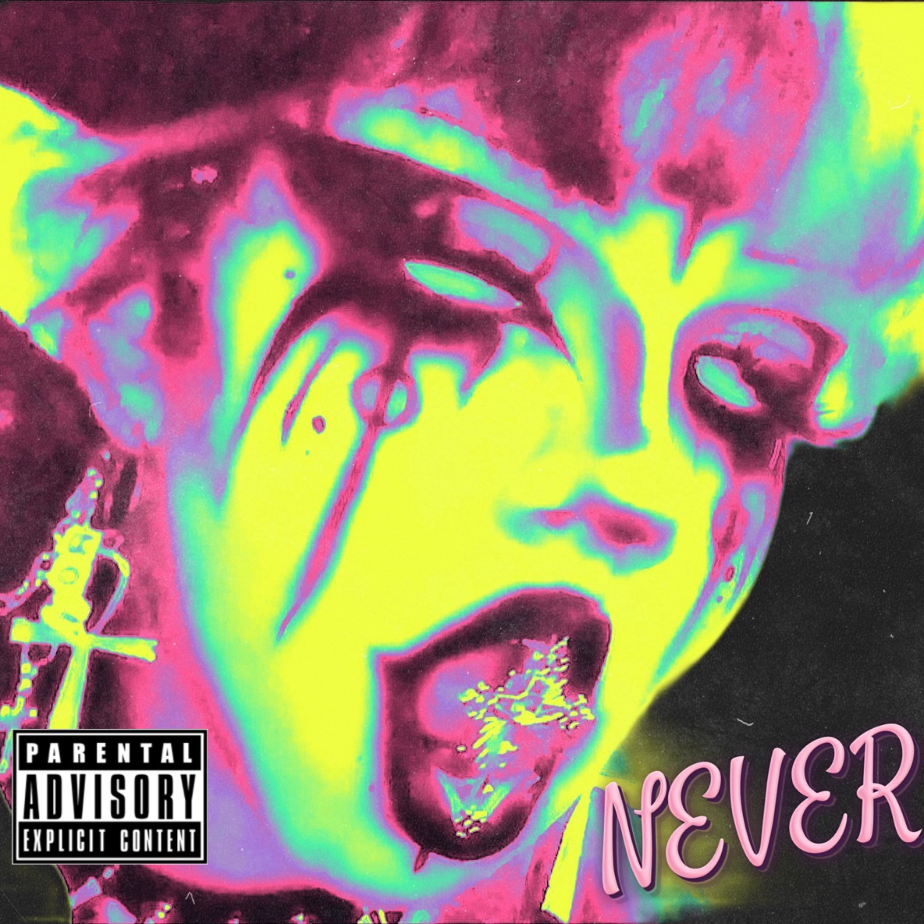 NEVER artwork