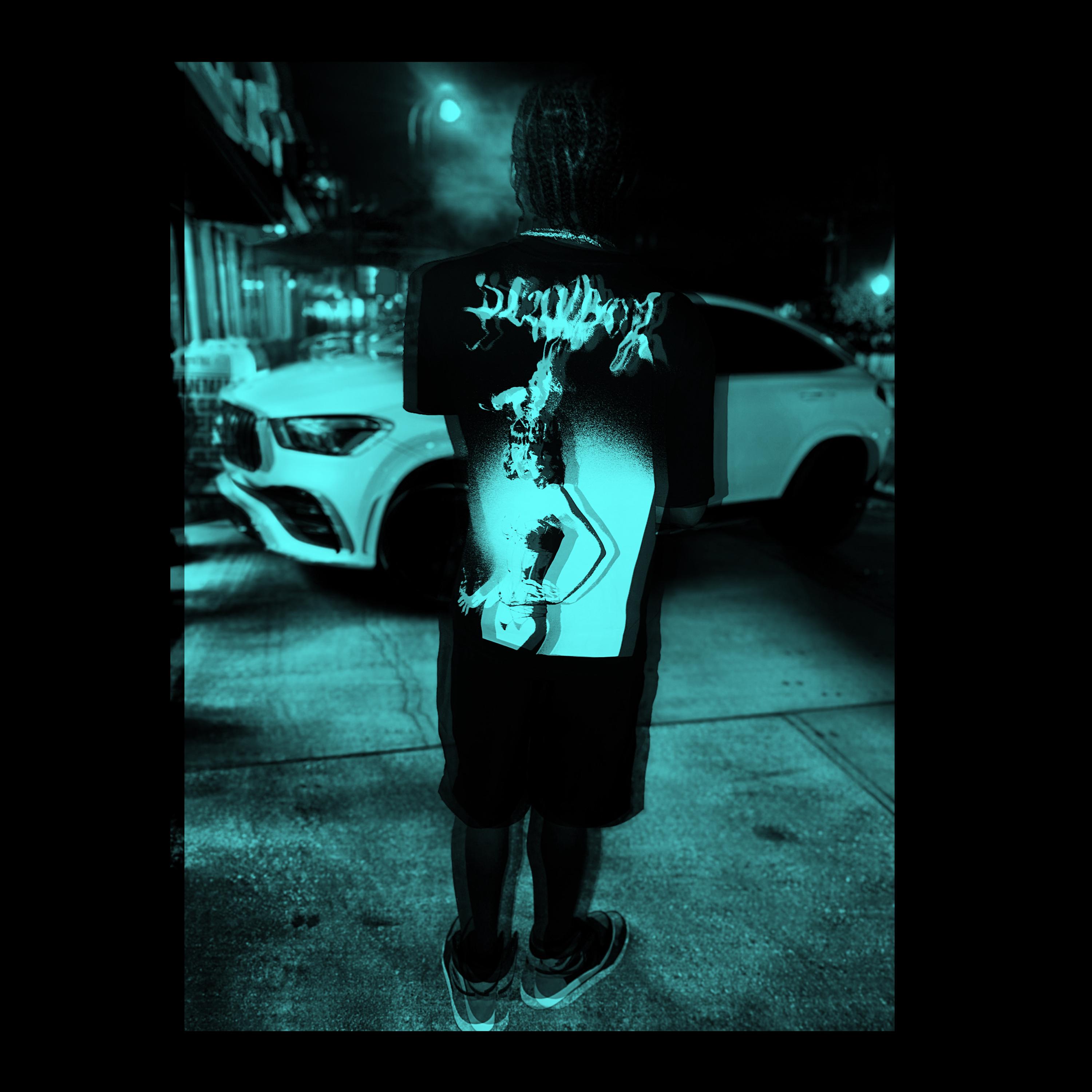 The Plan artwork