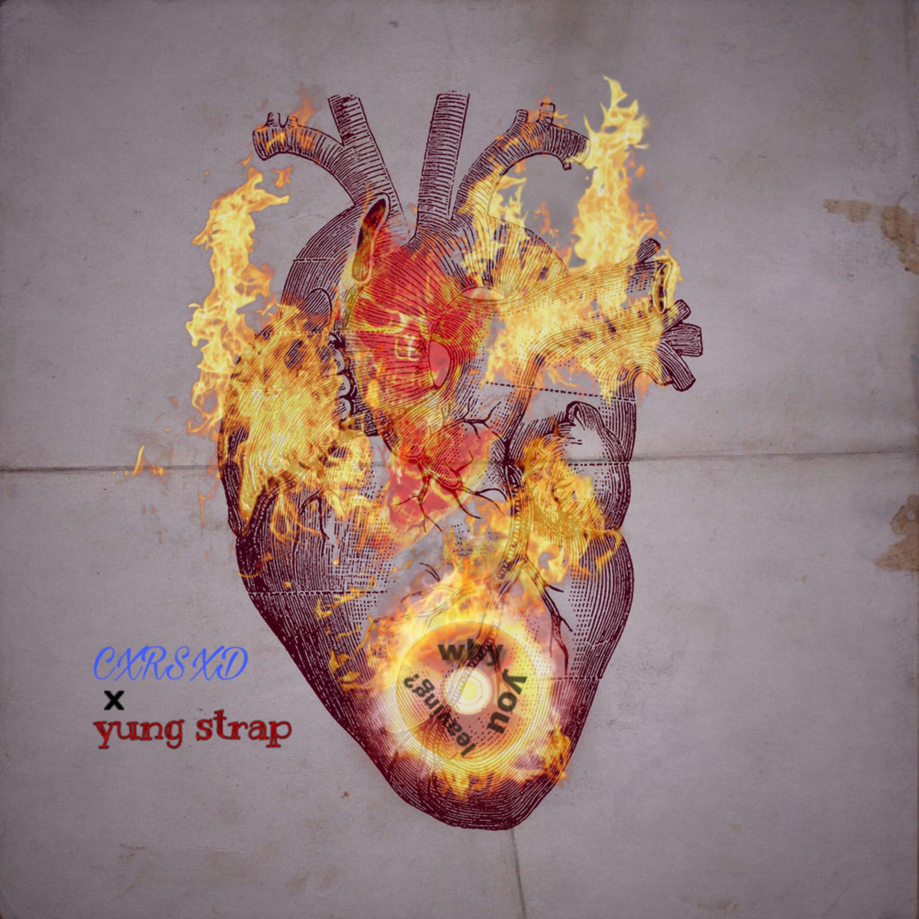 why you leaving? artwork