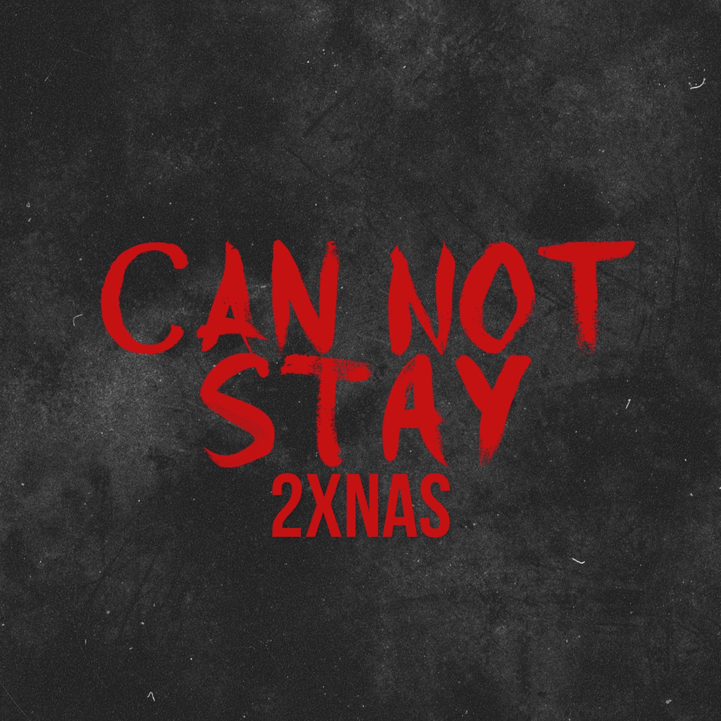 Can Not Stay artwork