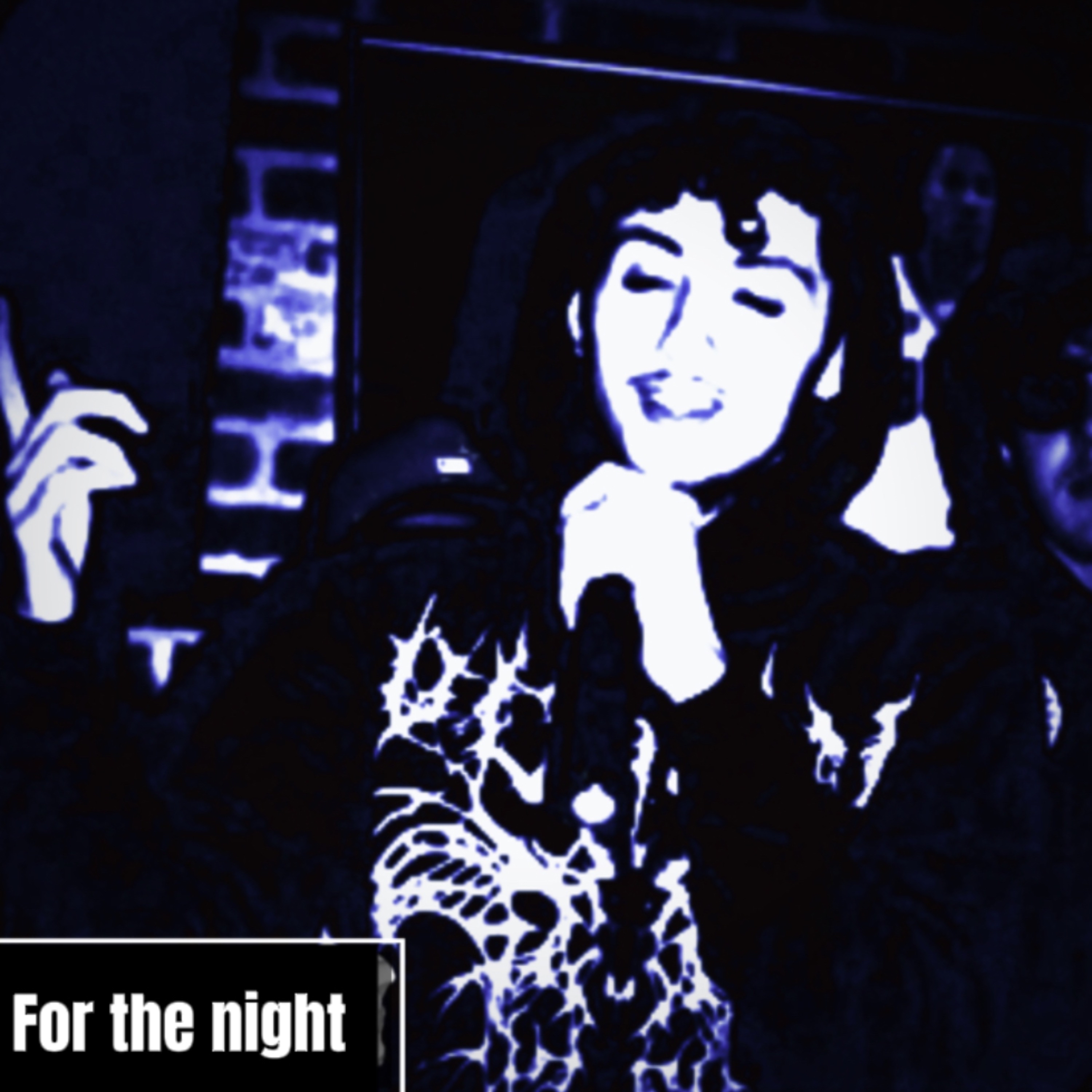 For The Night artwork