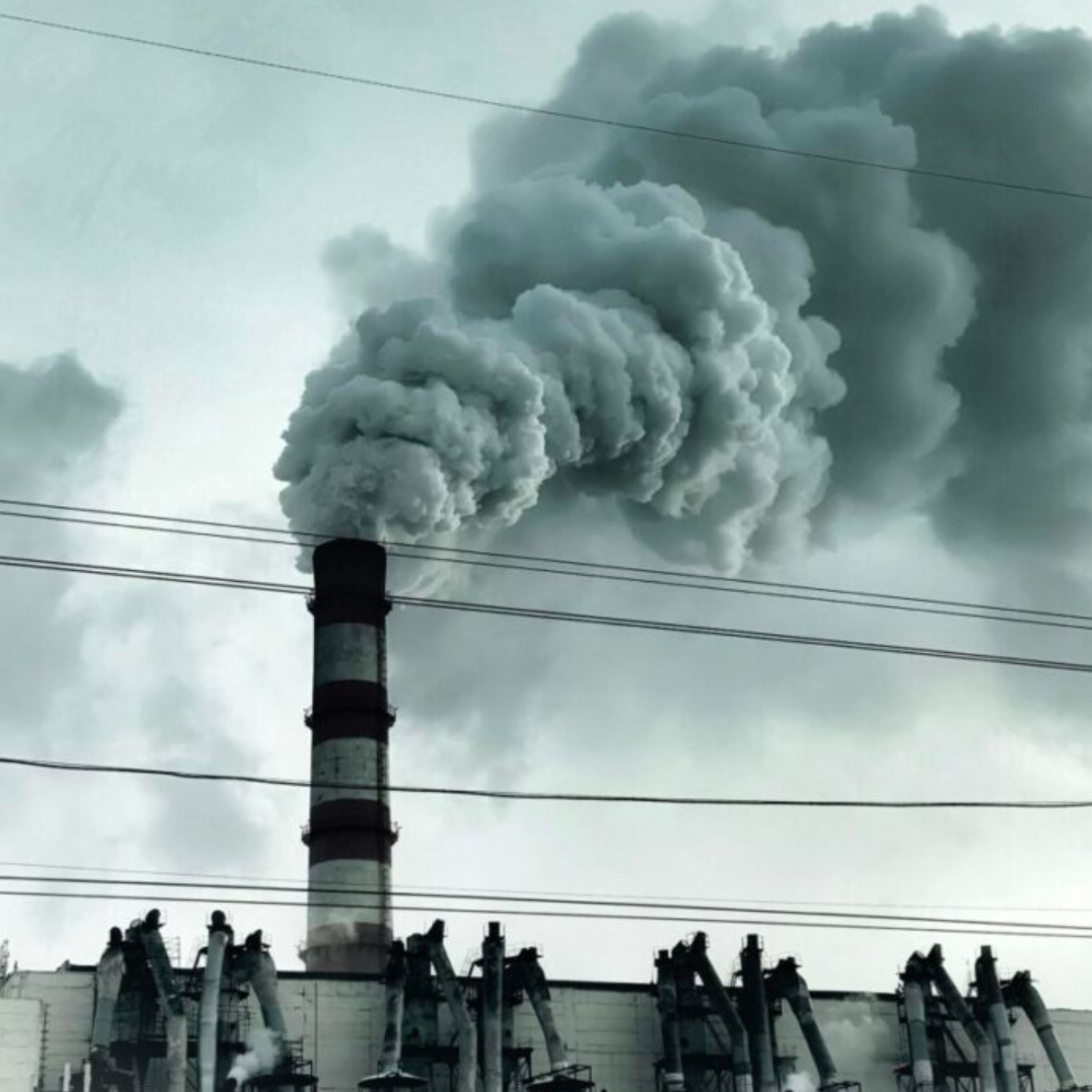 The Industry artwork
