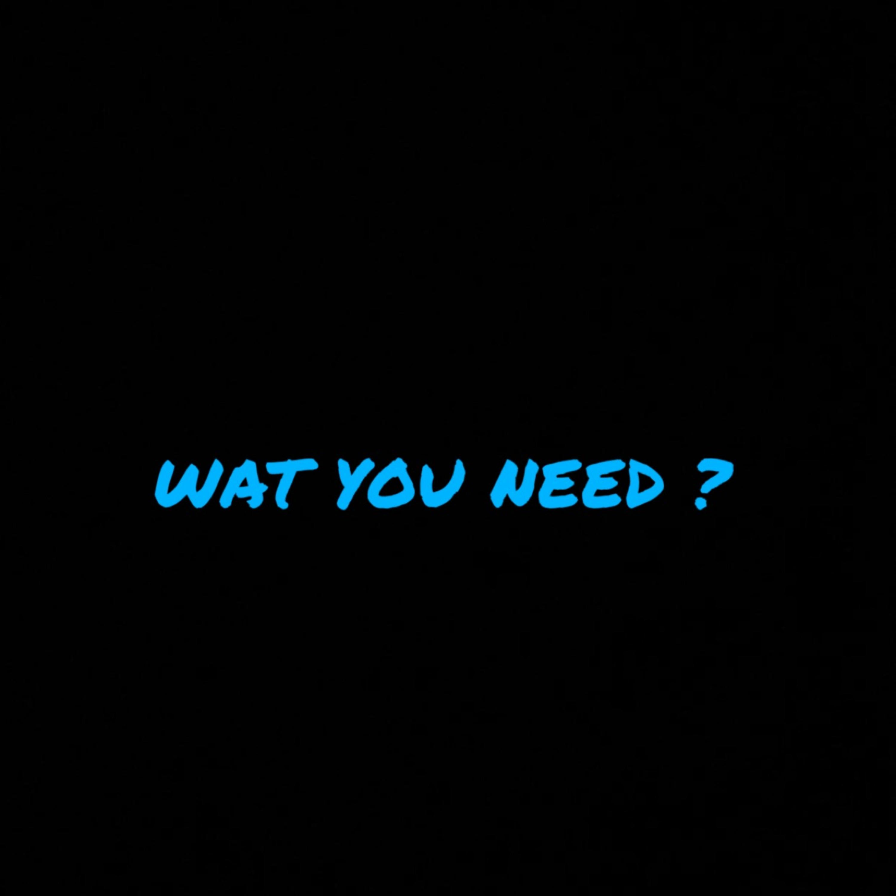 WAT YOU NEED by MEIR SANTANA cover art