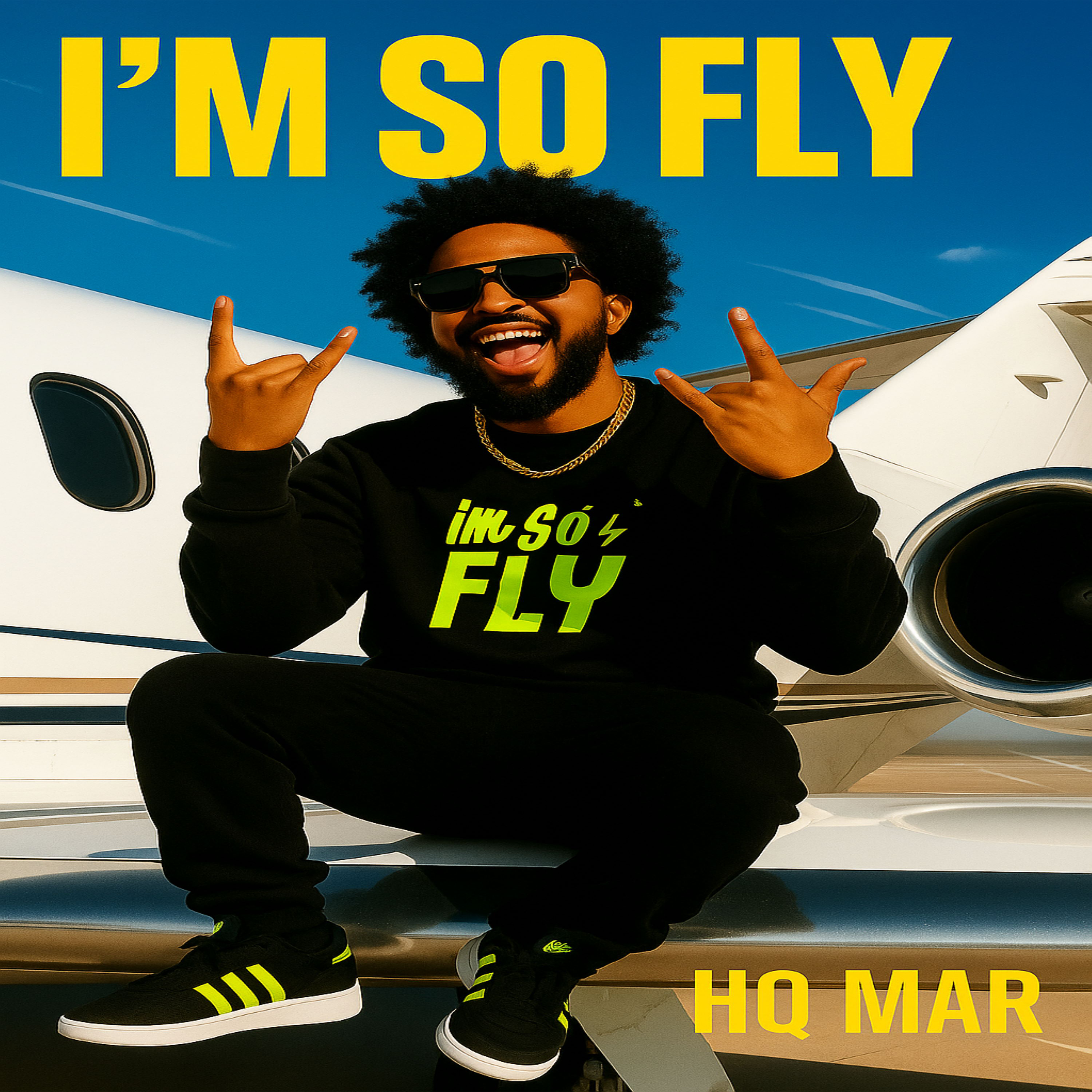 I'M SO FLY artwork