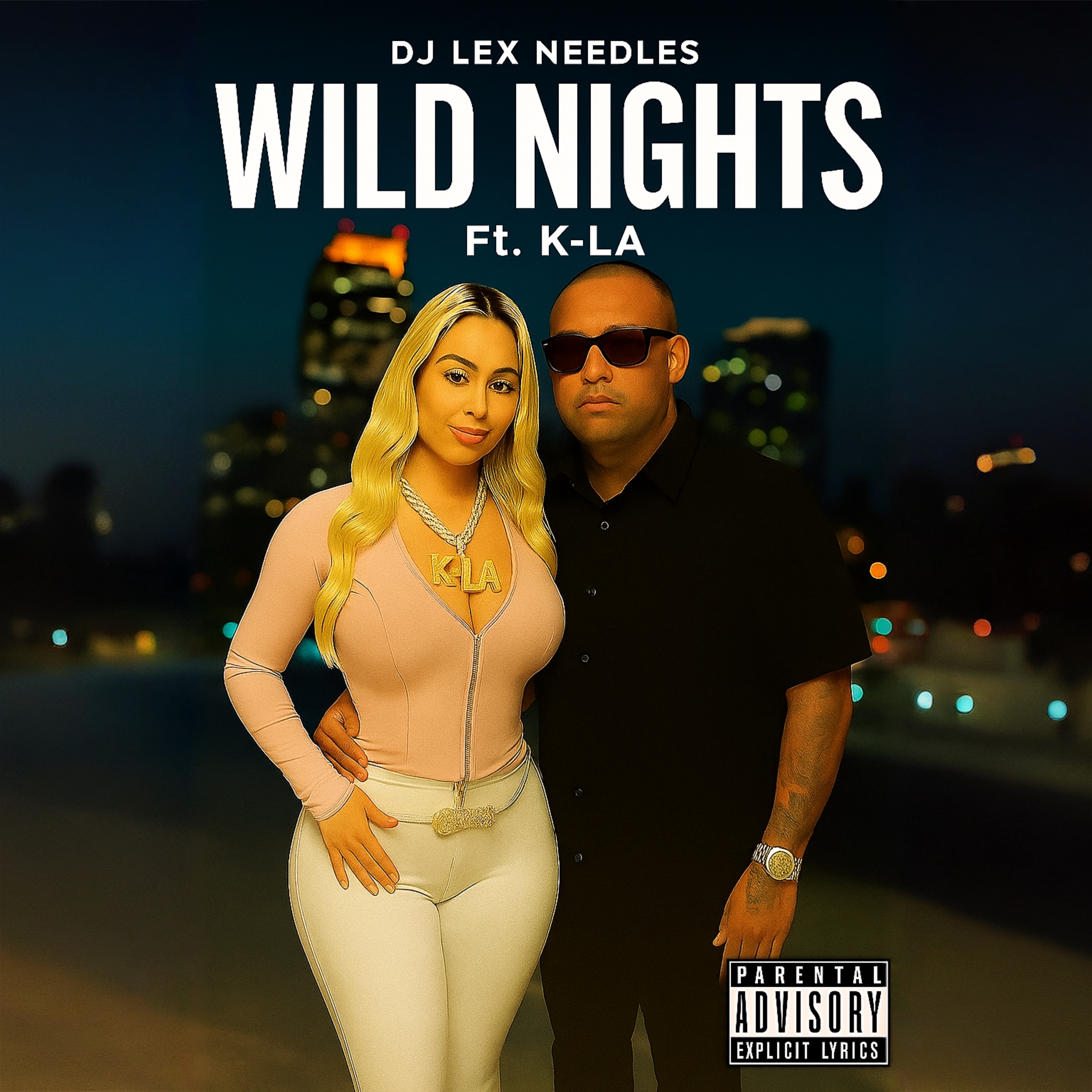 Wild Nights by DJ Lex Needles cover art