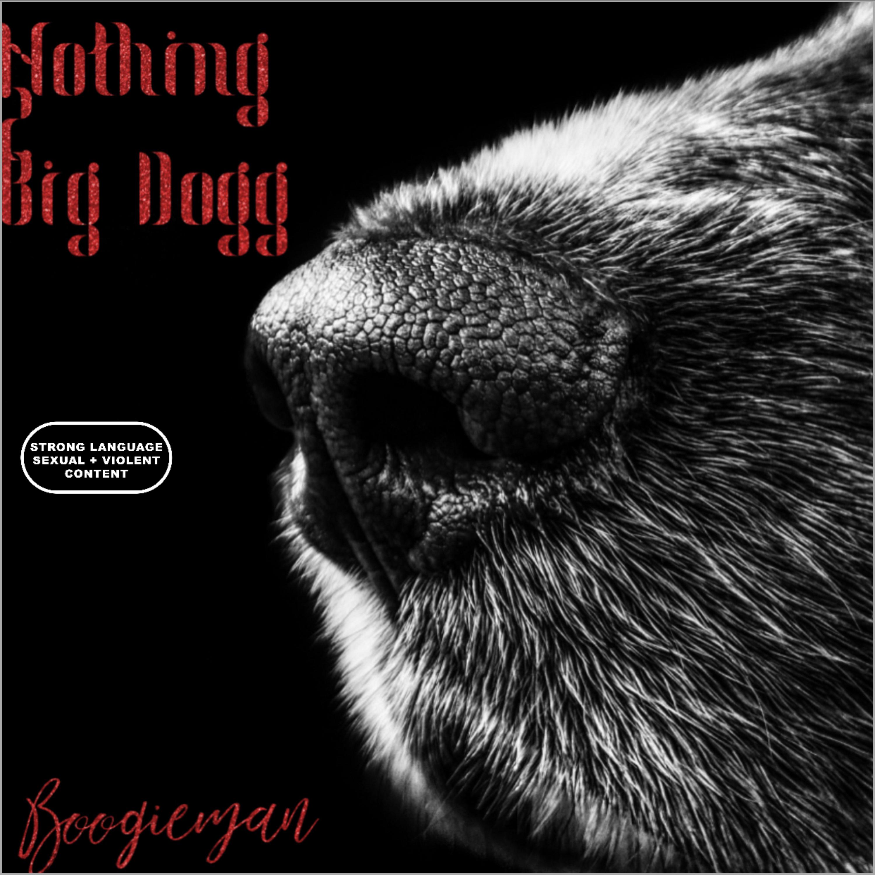 Nothing 2 BigDogg artwork