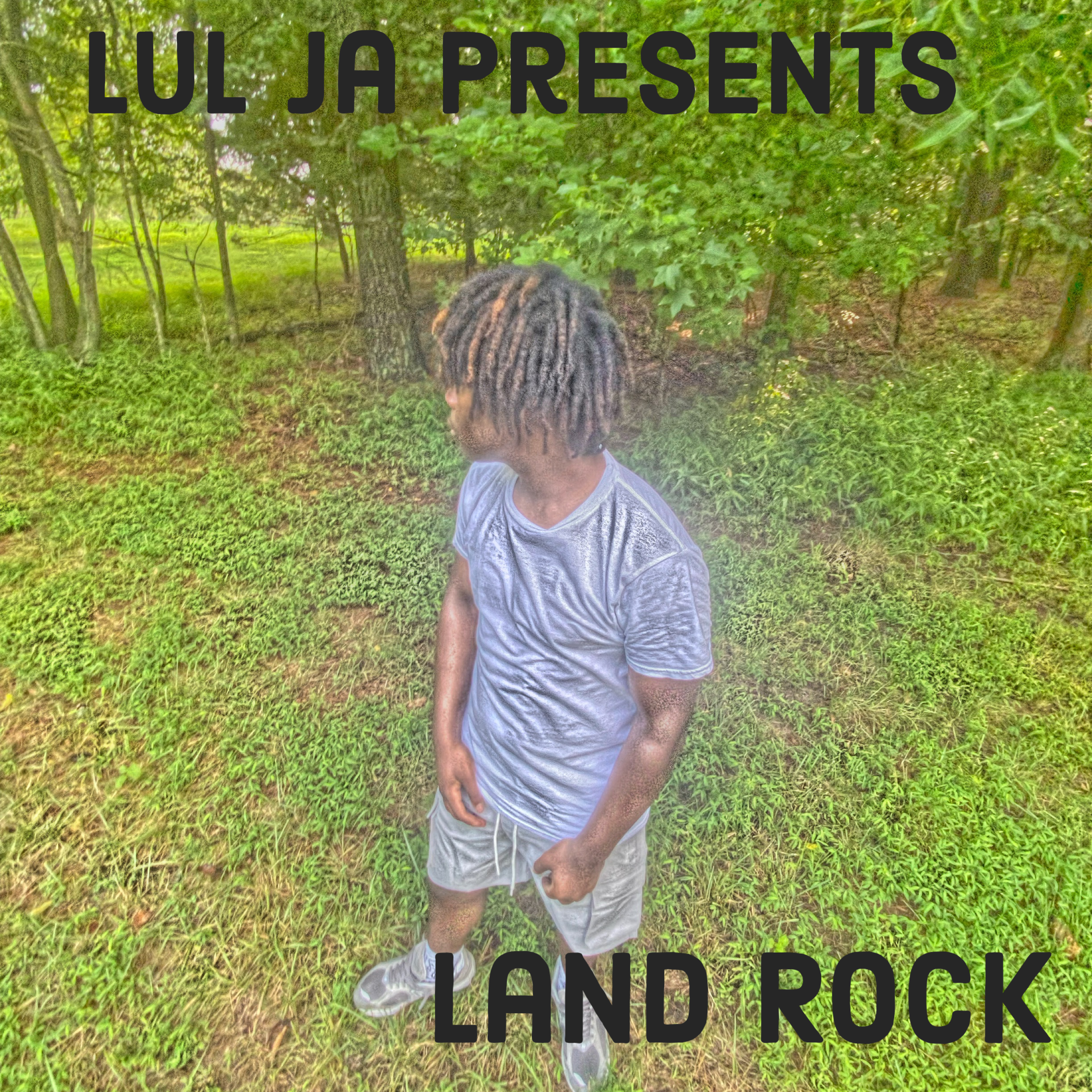 Land Rock artwork