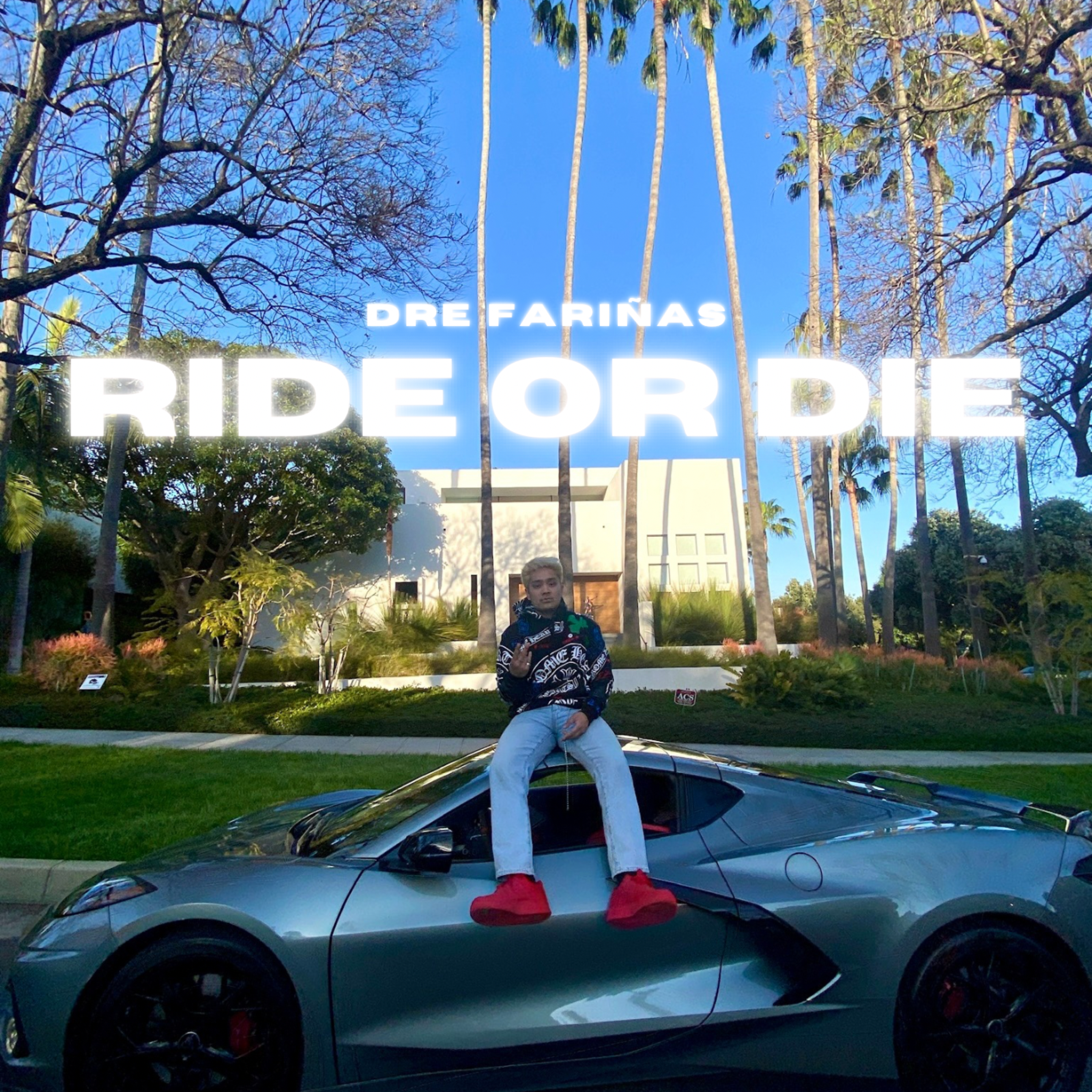 Ride or Die artwork