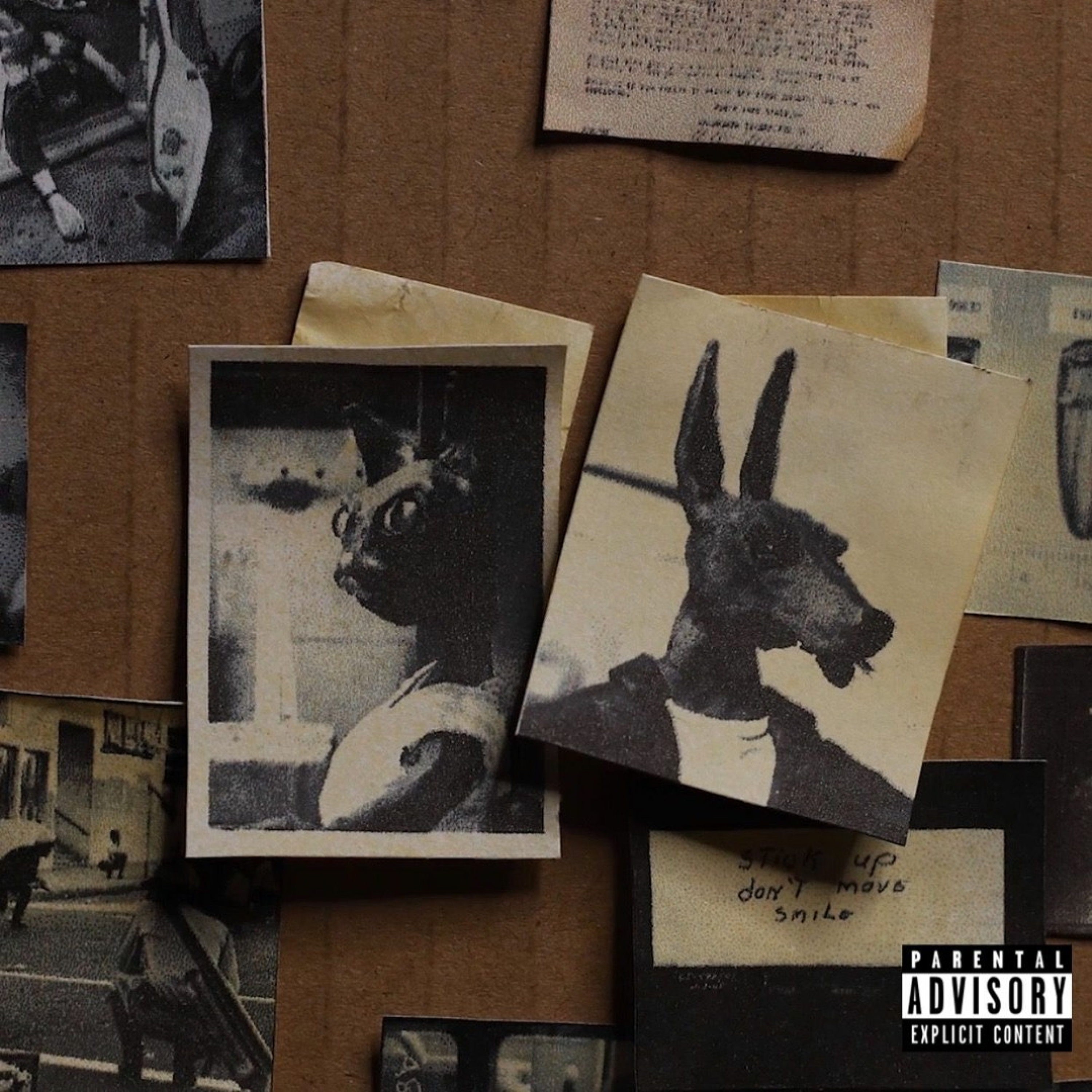 Does It Real Good artwork