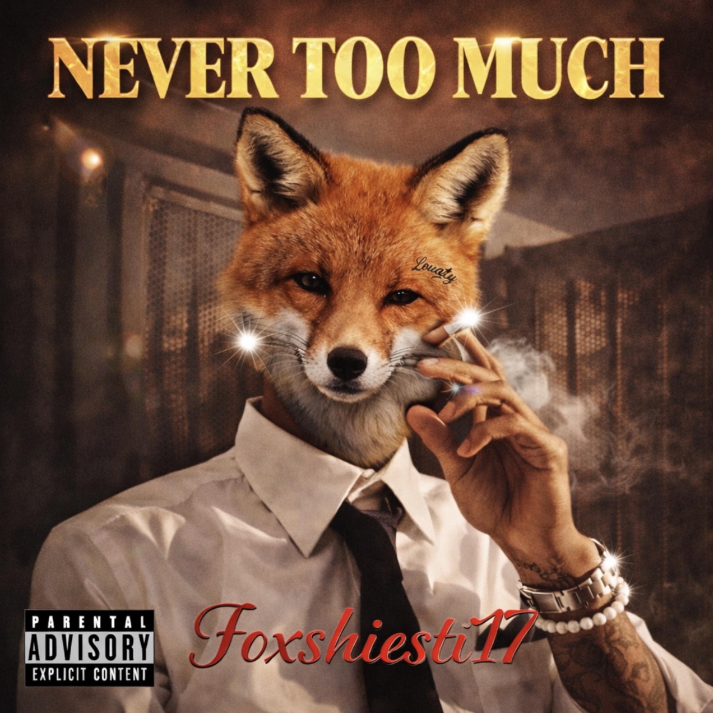 NEVER TOO MUCH artwork