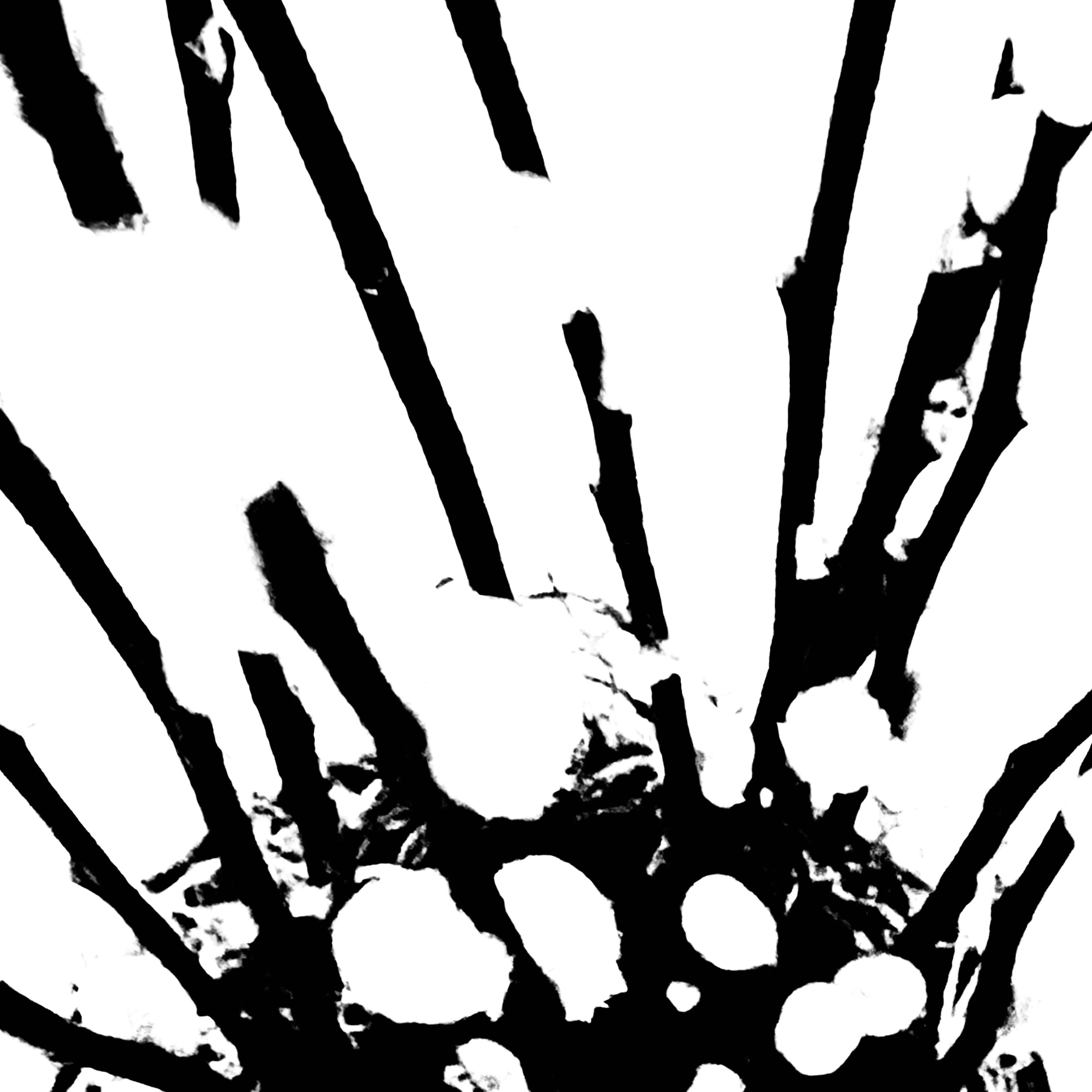 The Neccesity Of Our Dreams artwork