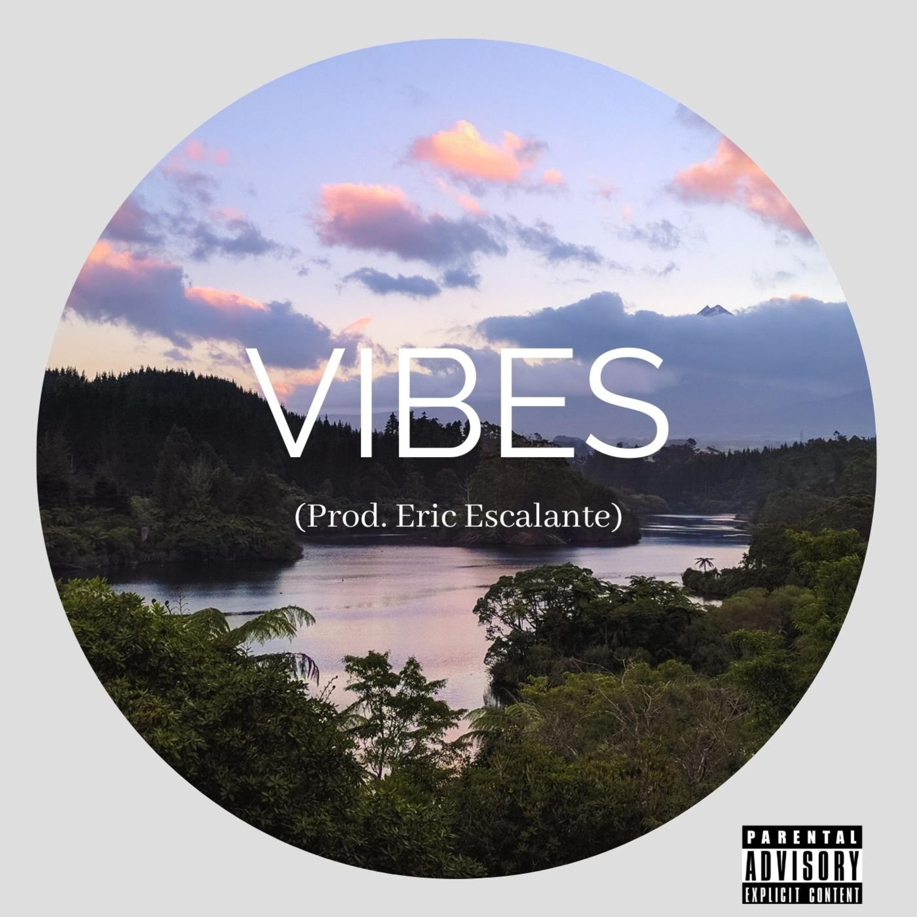 Vibes by Smokedaily cover art