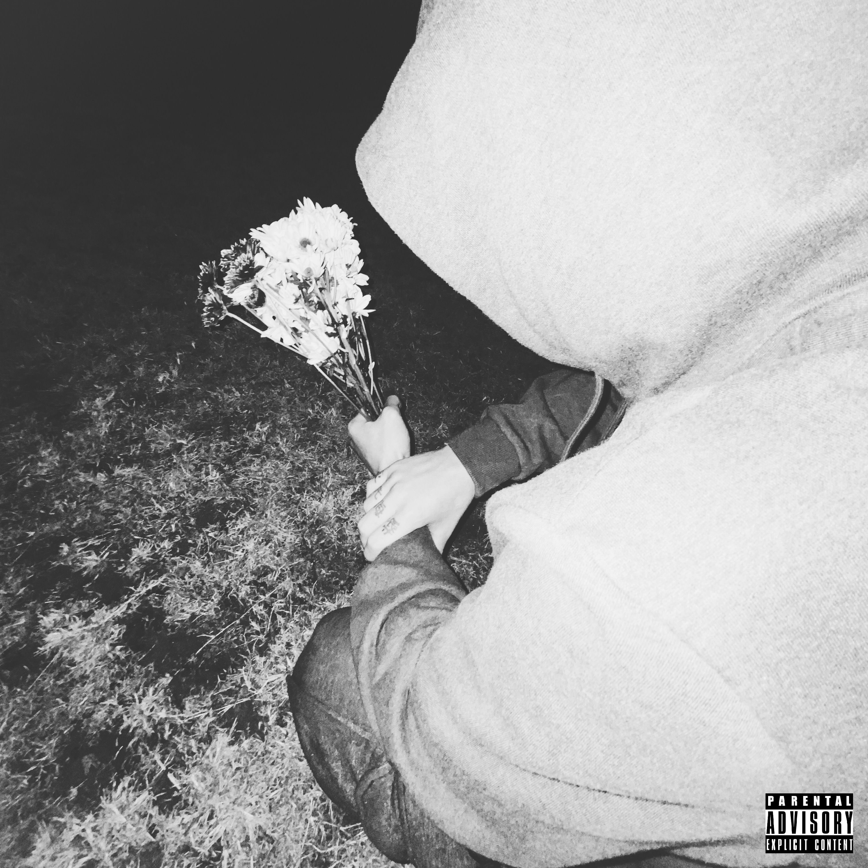 Murder What She Wrote artwork