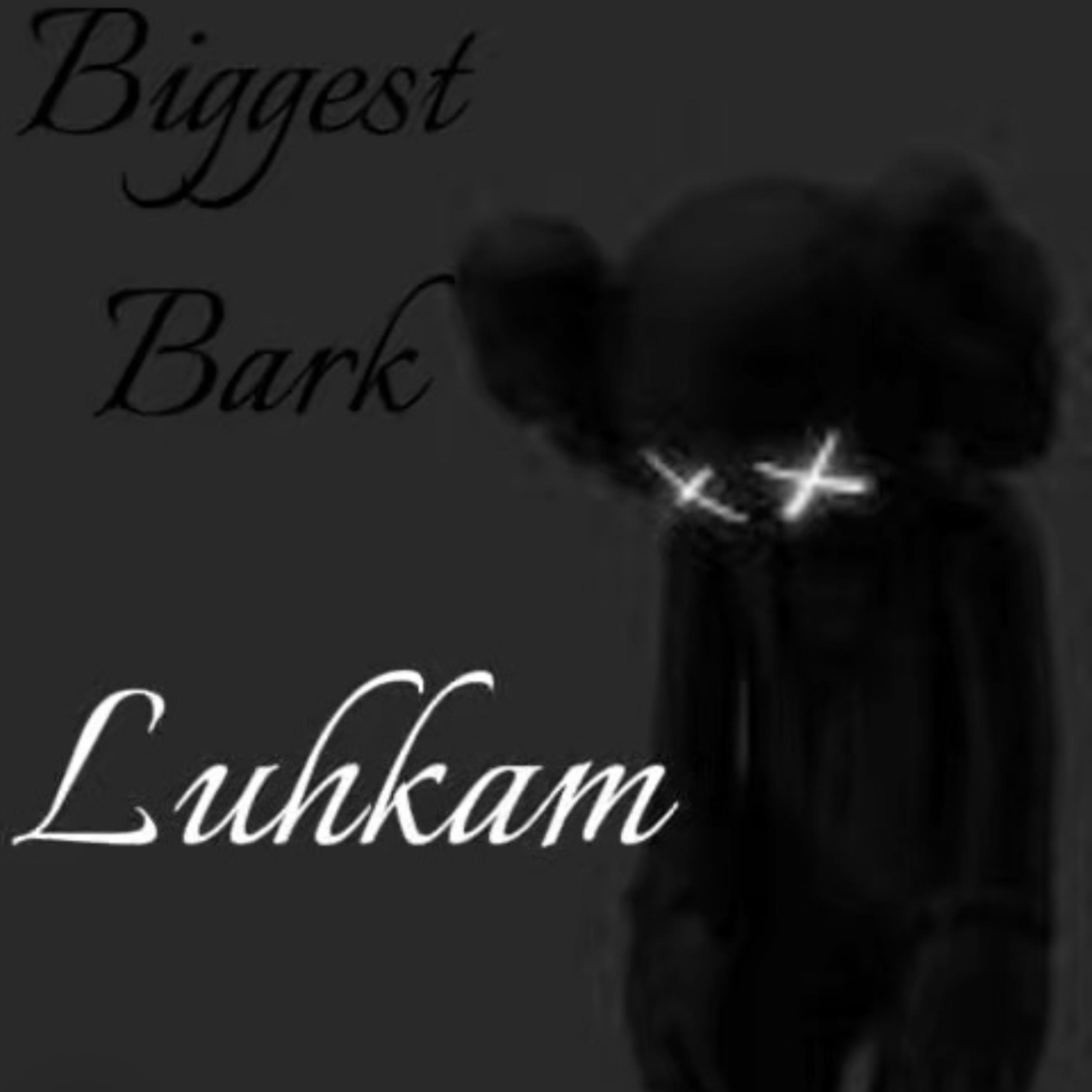 Biggest Barker artwork