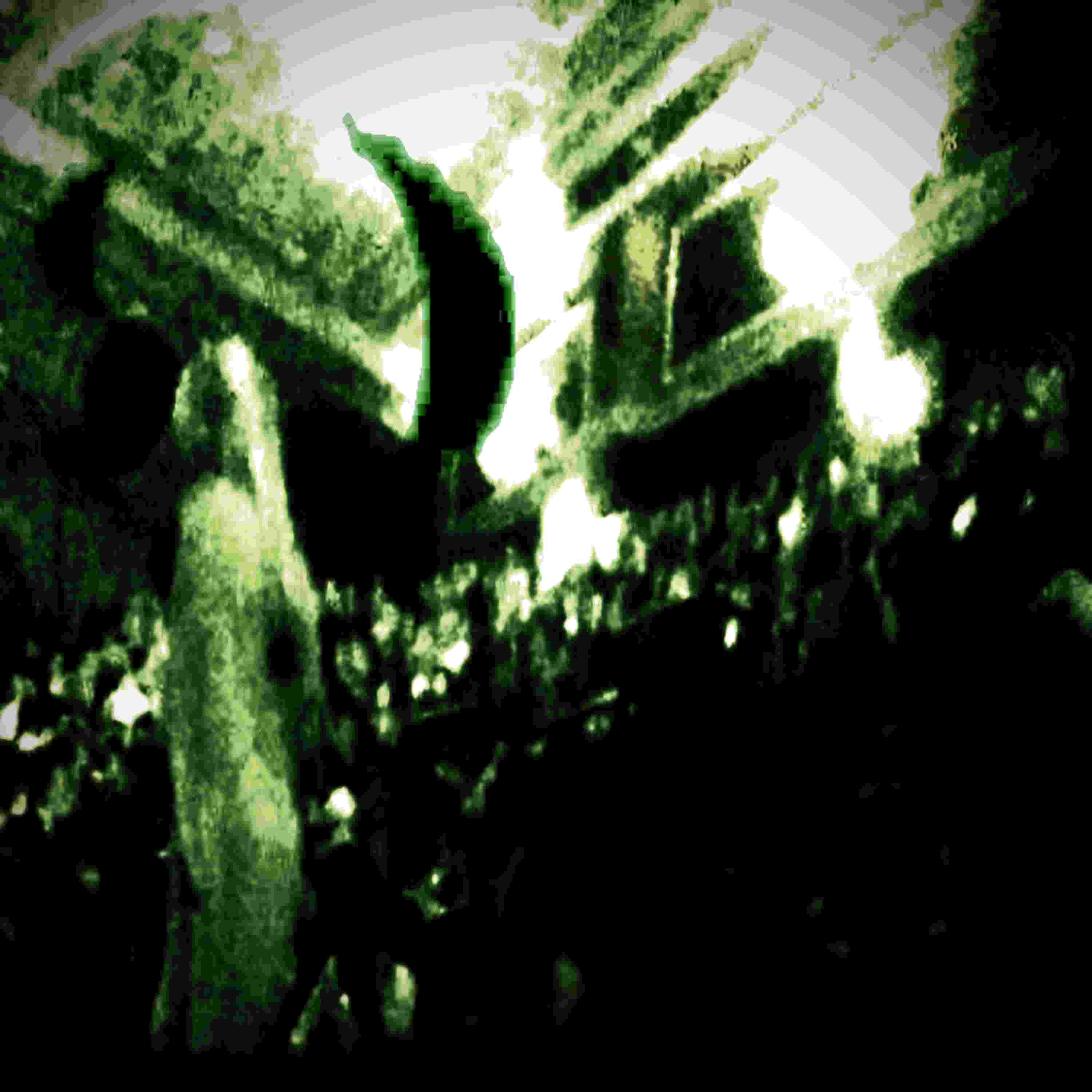 mosh-pit artwork