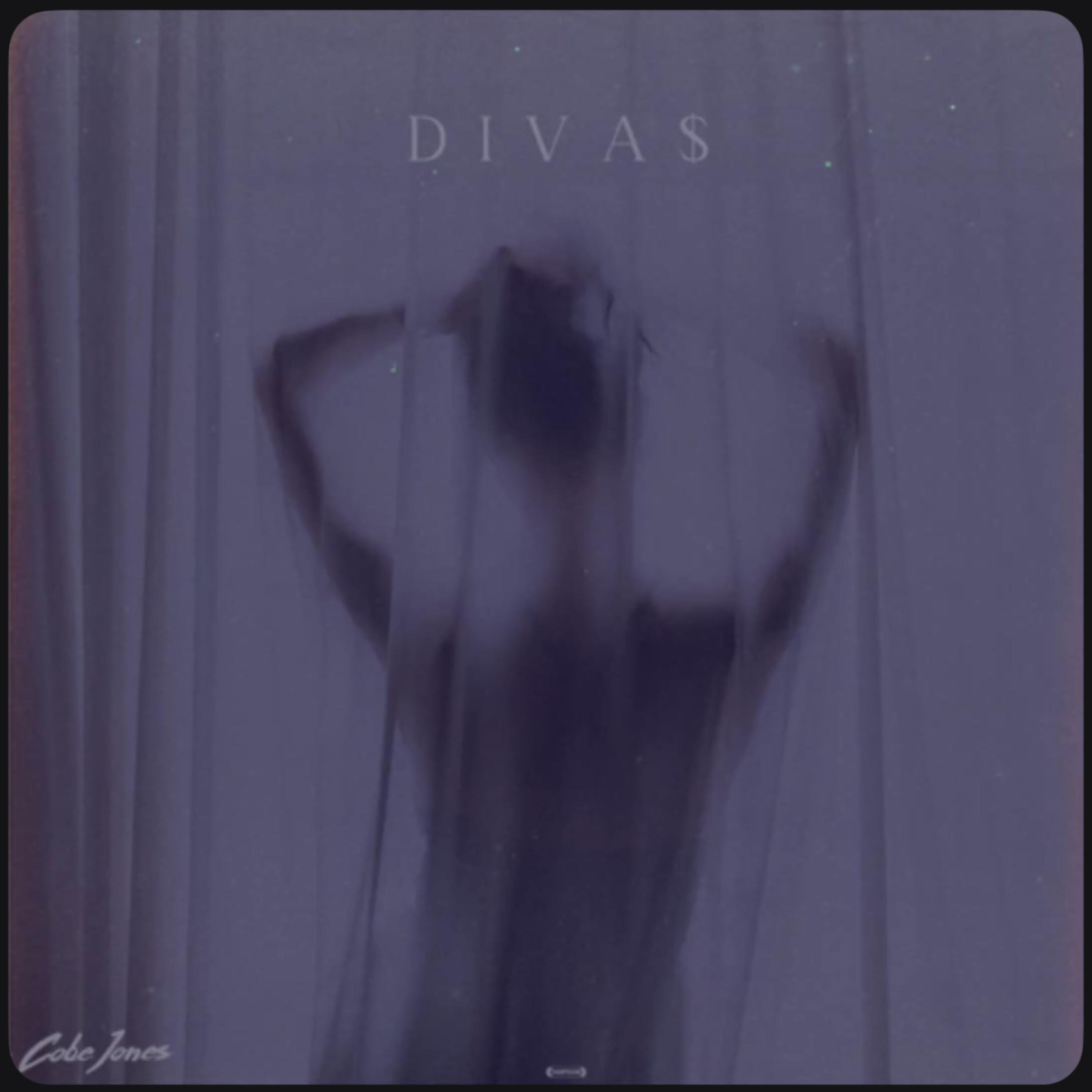 D I V A $ artwork