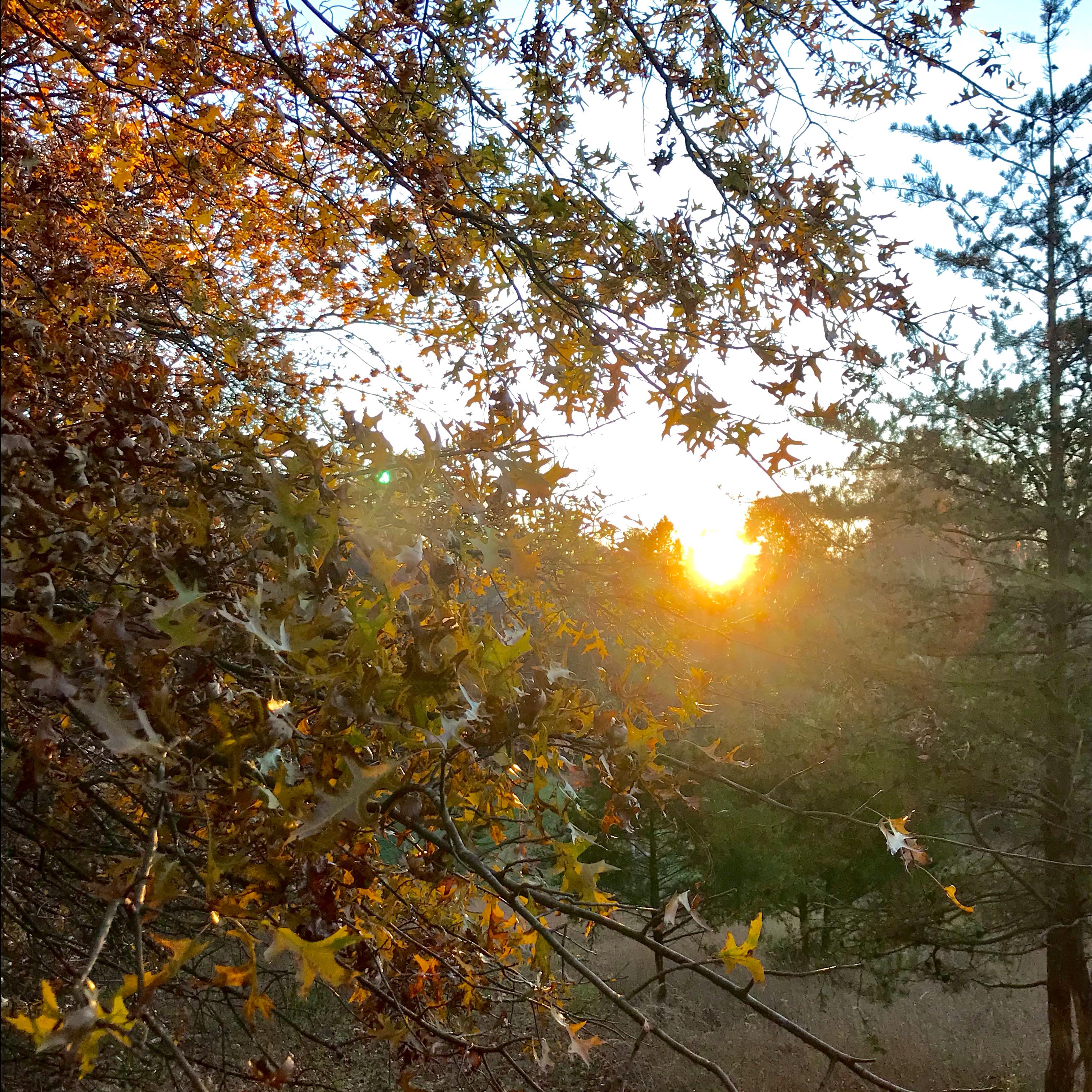 Autum artwork