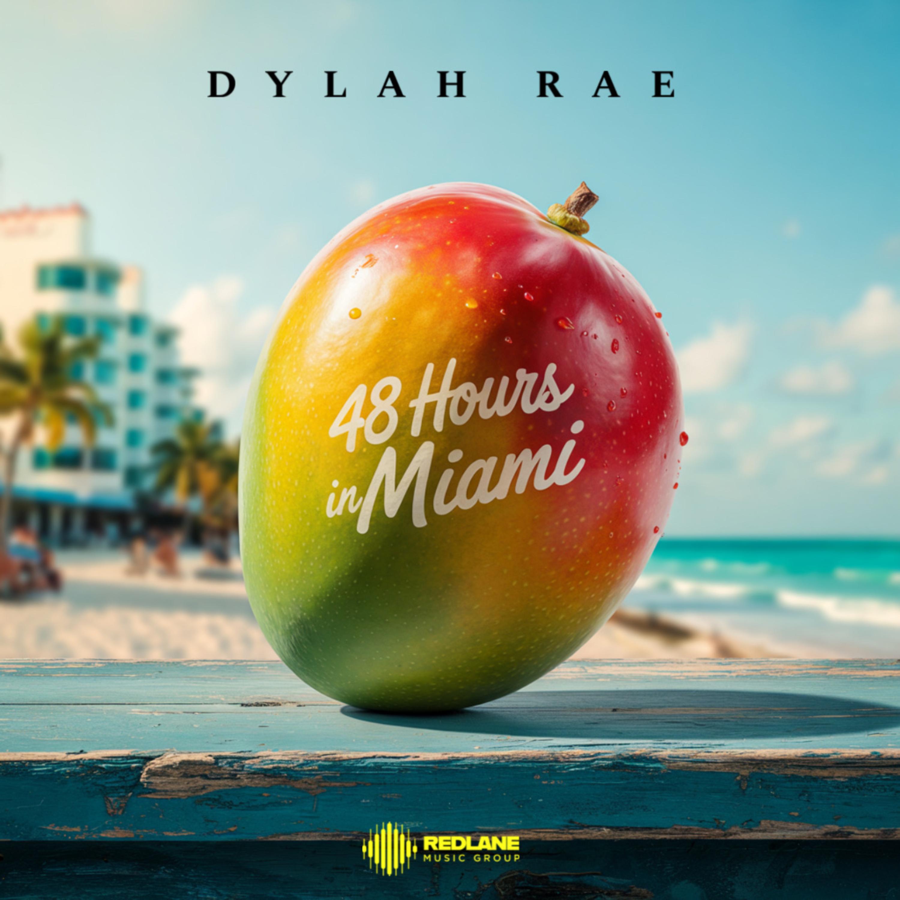 48 Hours In Miami artwork