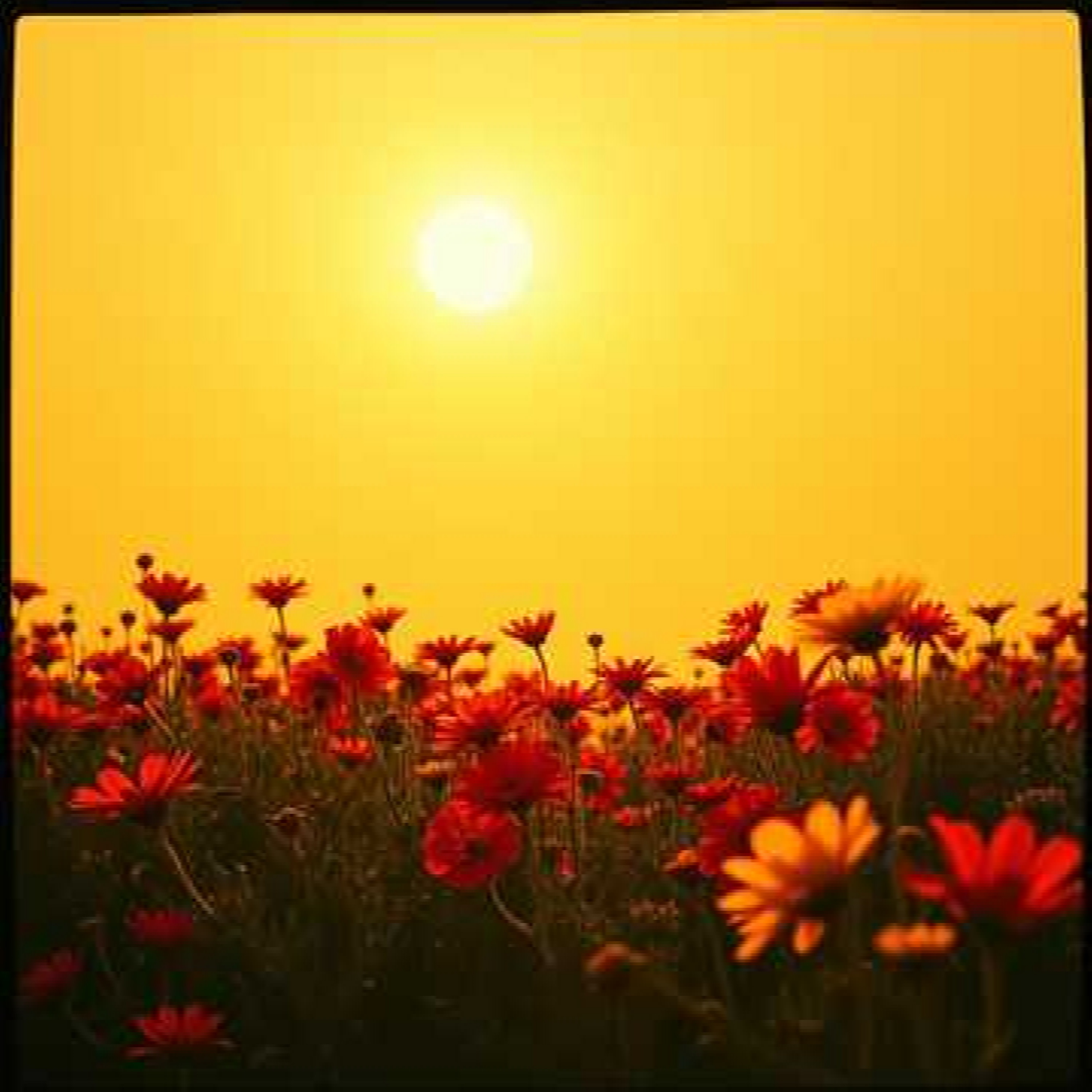 Amor Y Honor artwork