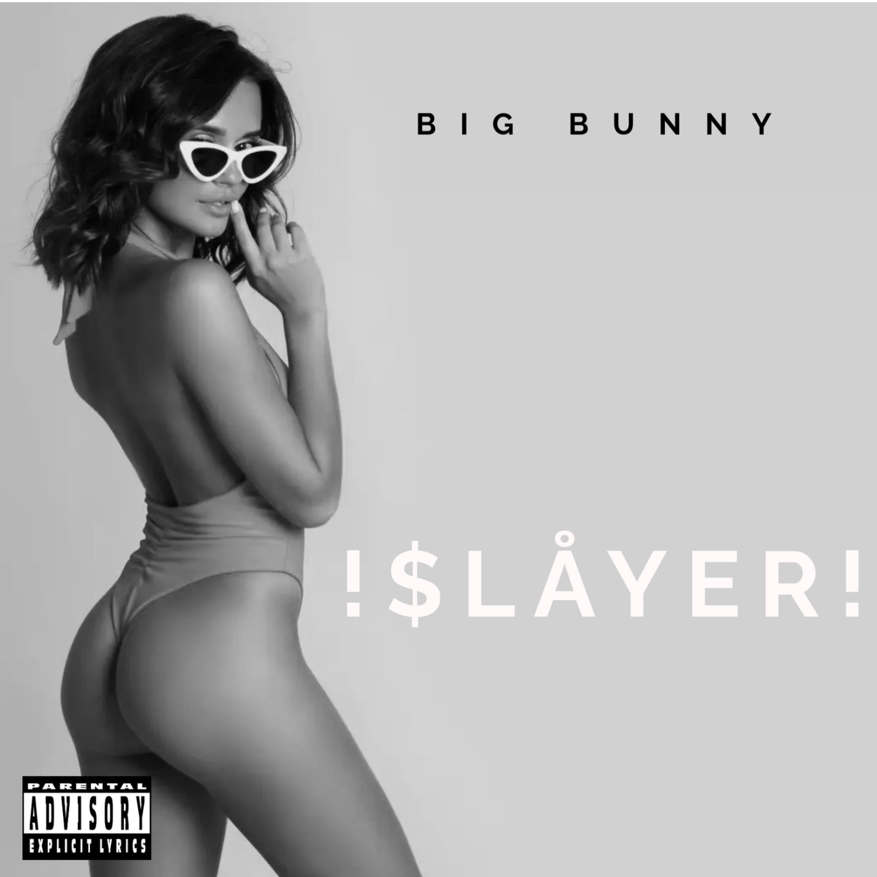 !$LÅYER! artwork