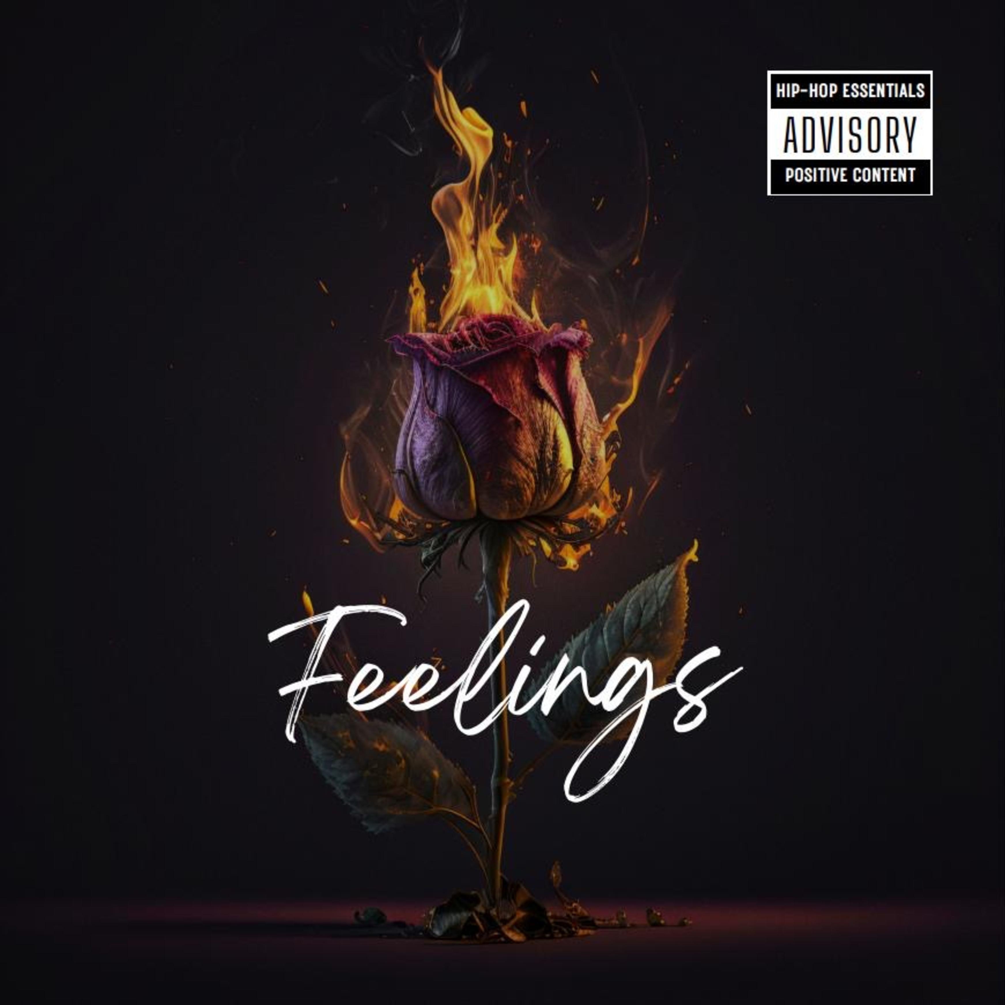 Feelings artwork