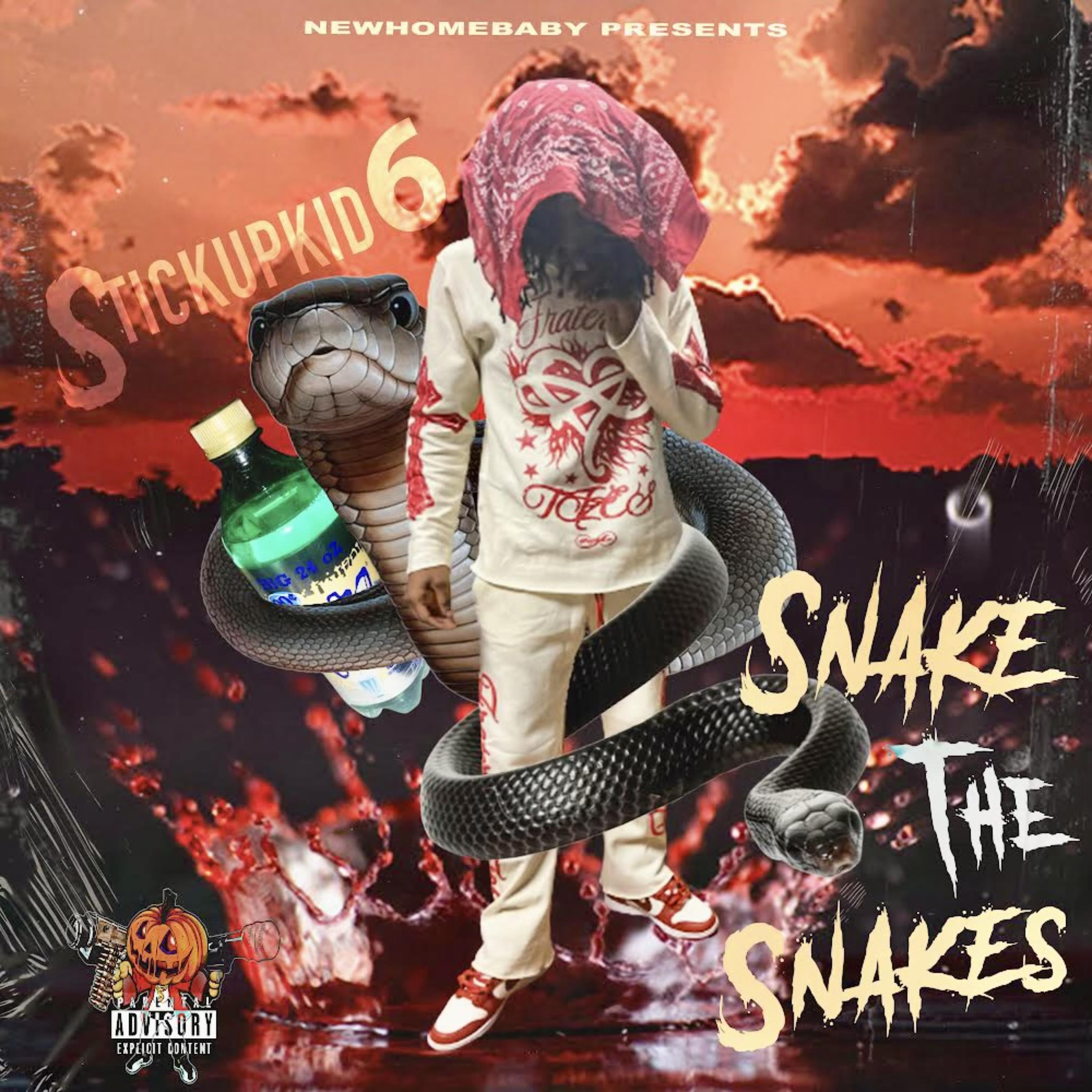 SnakeTheSnakes artwork