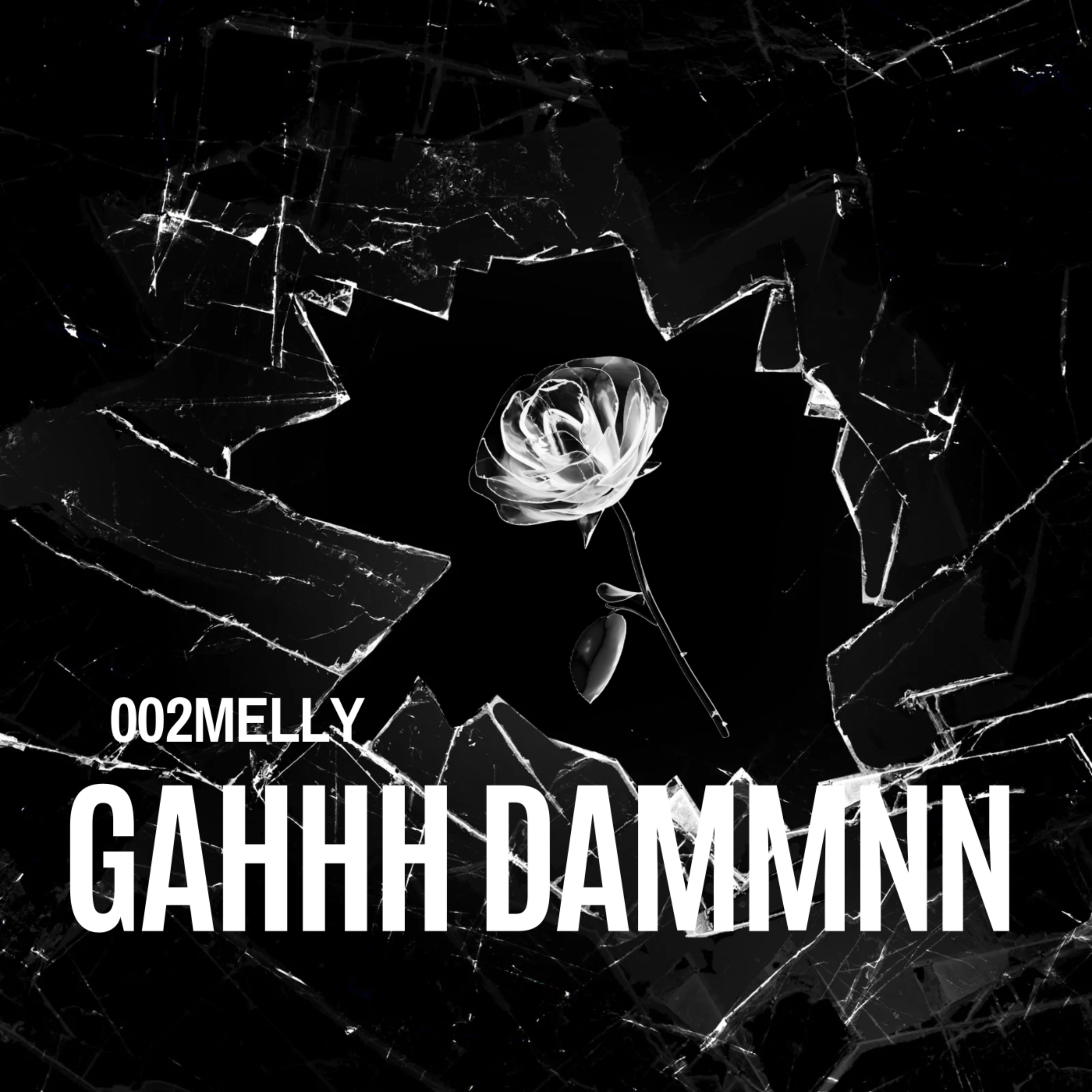 GAHH DAMMNN artwork