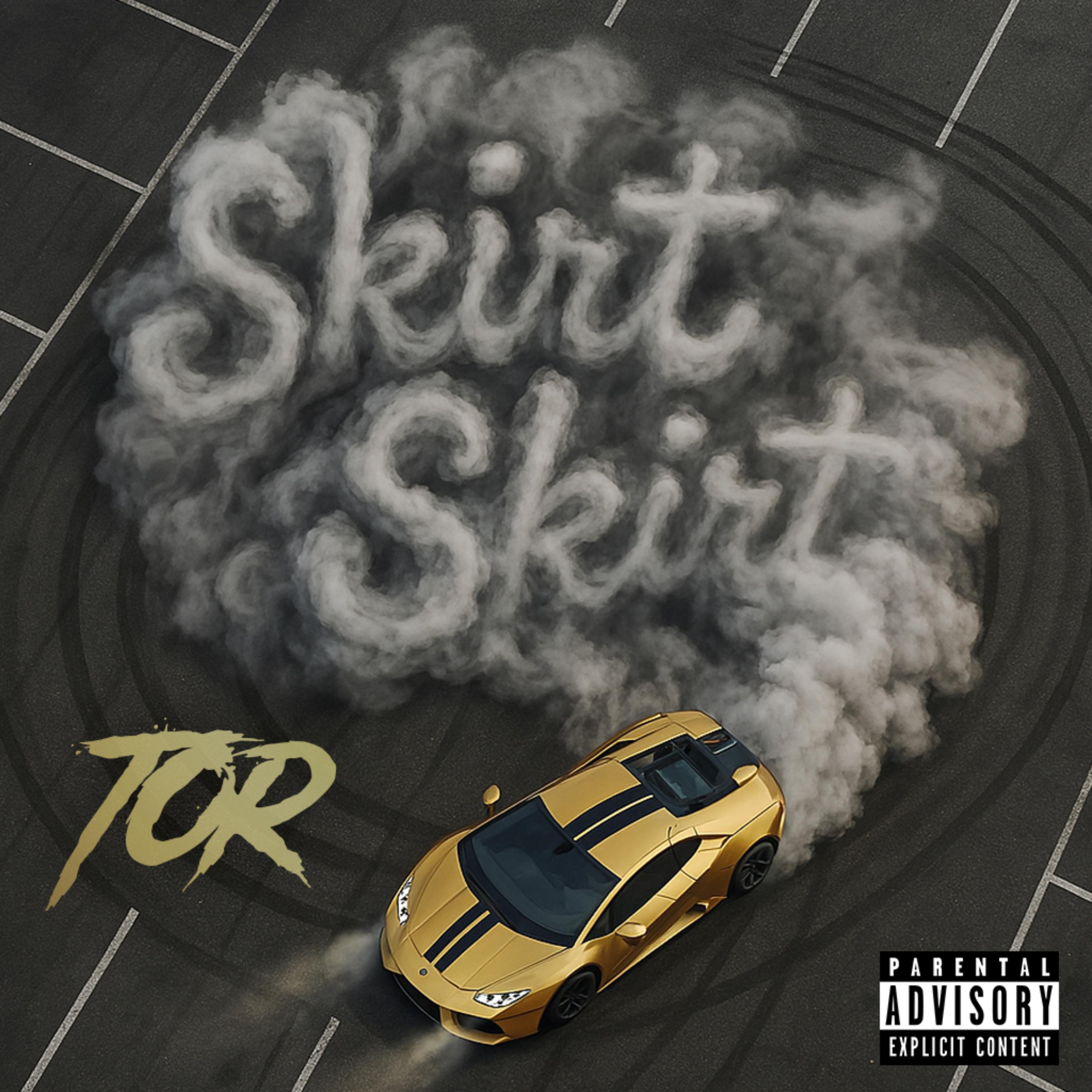 Skirt Skirt artwork
