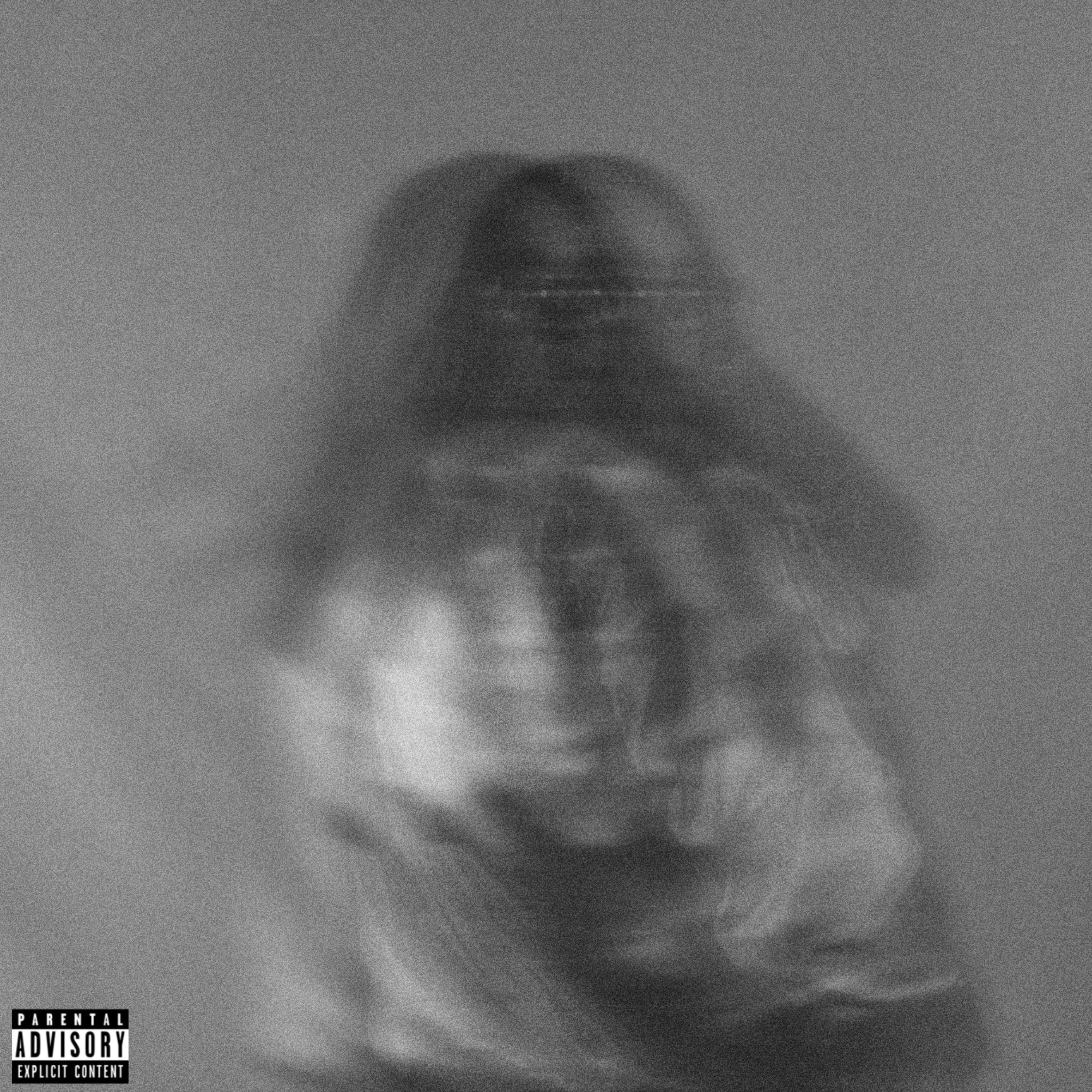 DOUBLE TAKE artwork