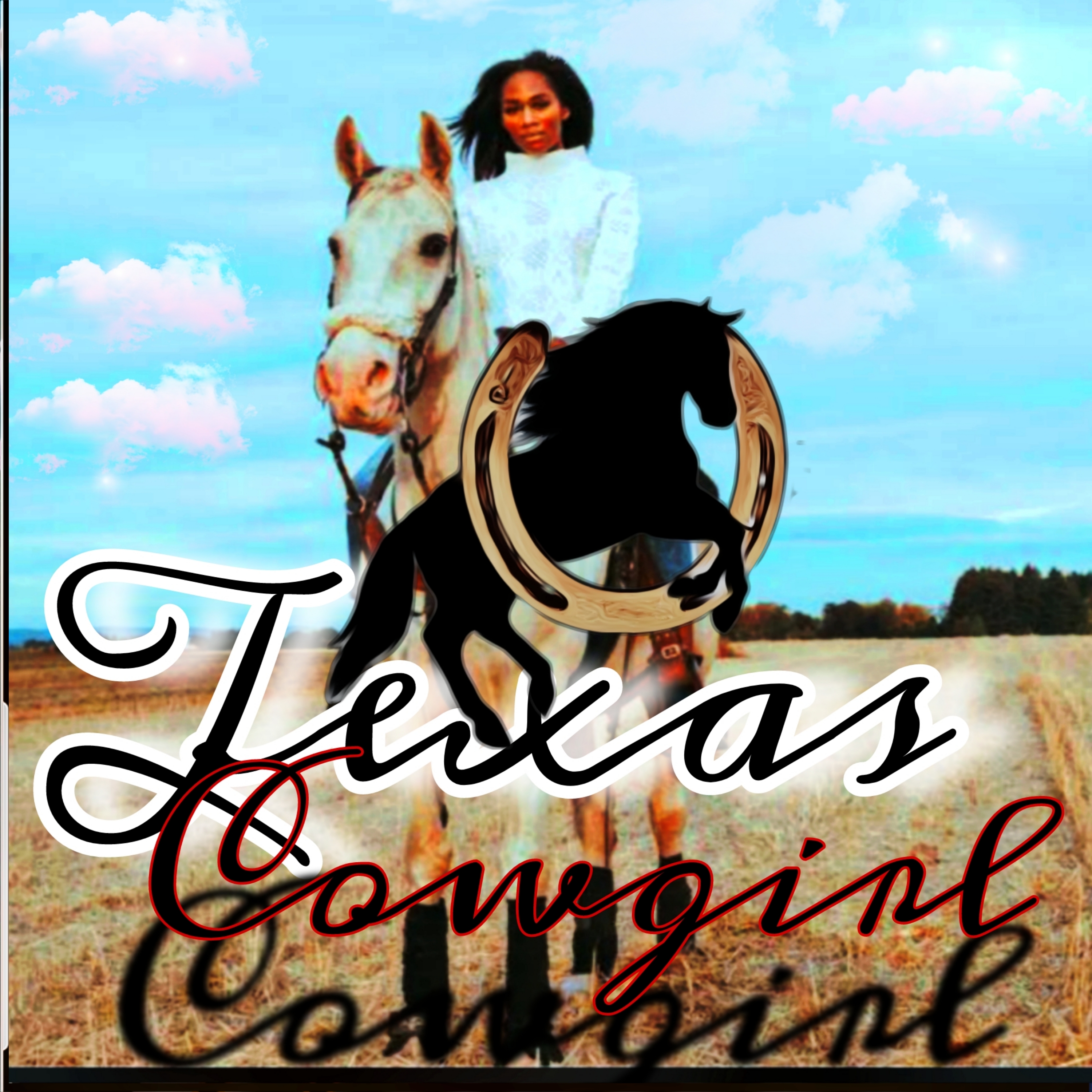 Texas Cowgirl artwork