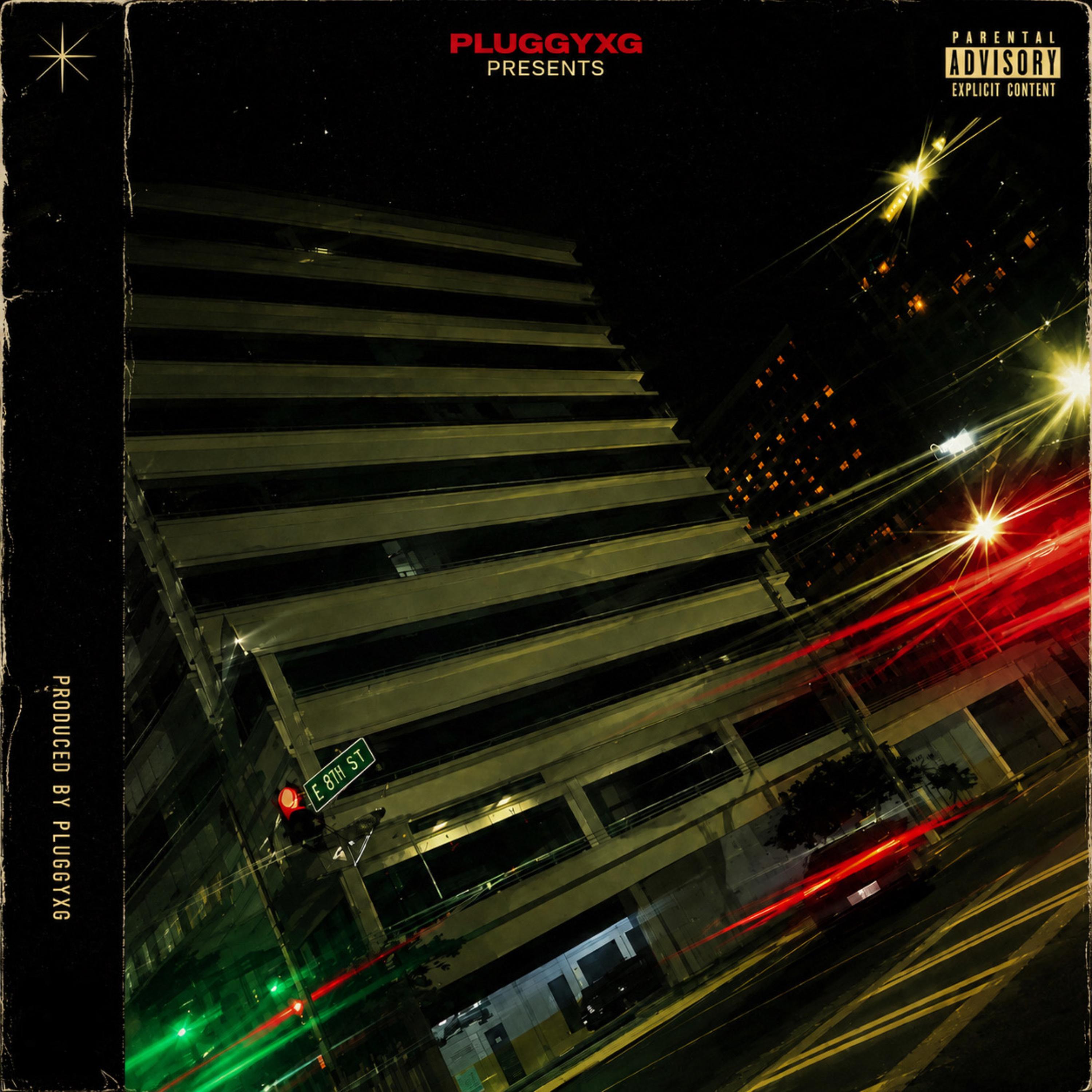 Pluggyxg Presents: THE TAKEOVER by soufsidebabyfound cover art