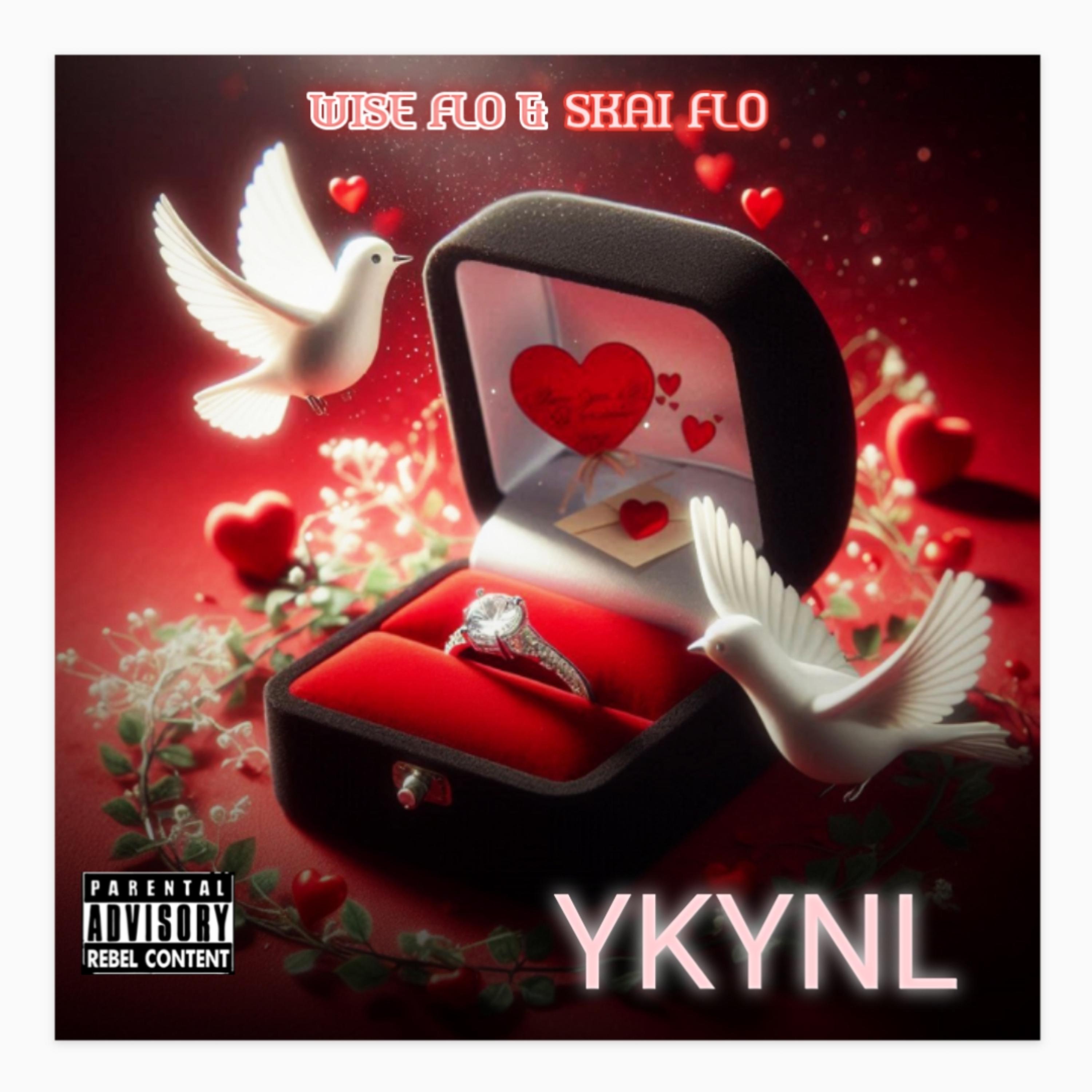 YKYNL artwork