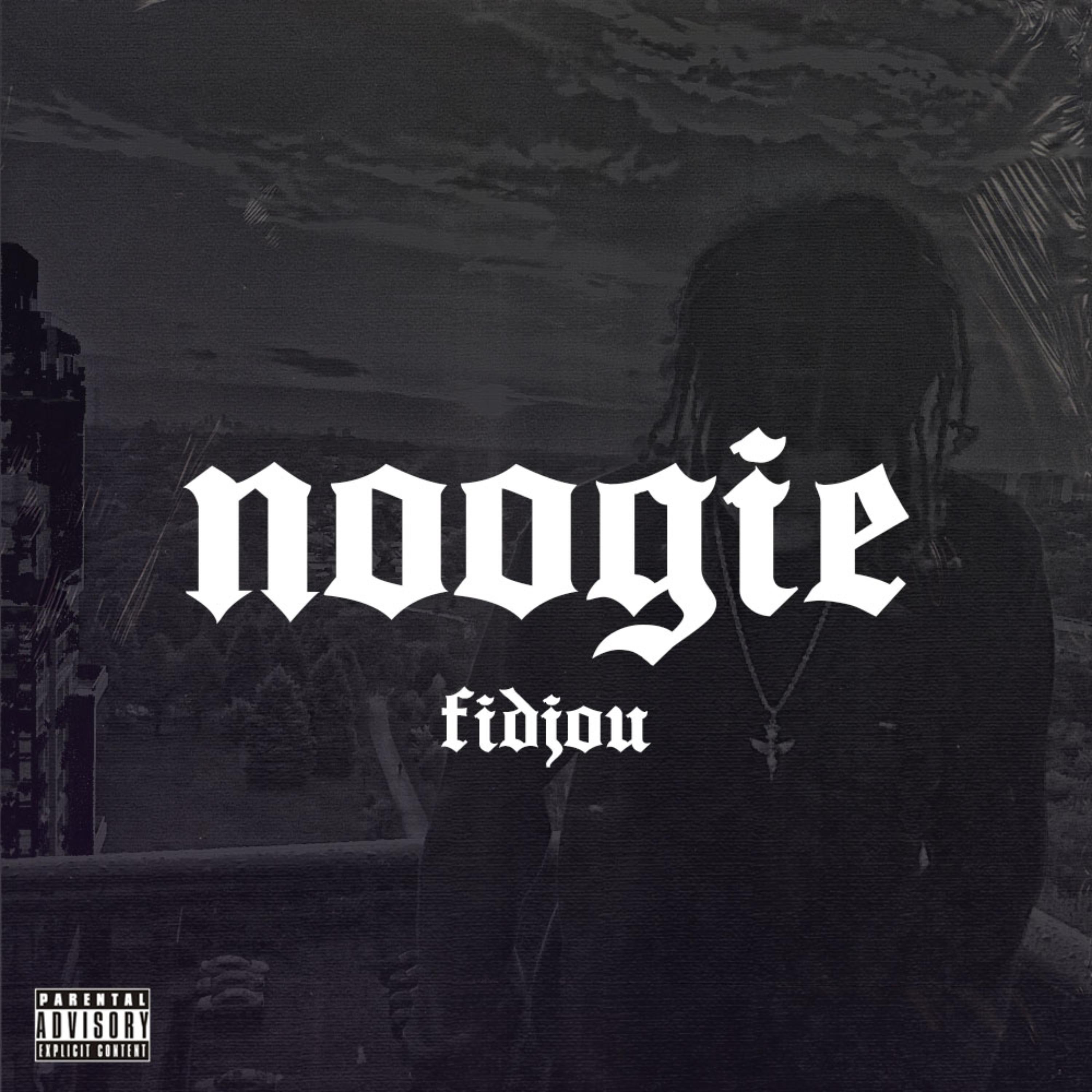 Noogie by Fidjouu cover art