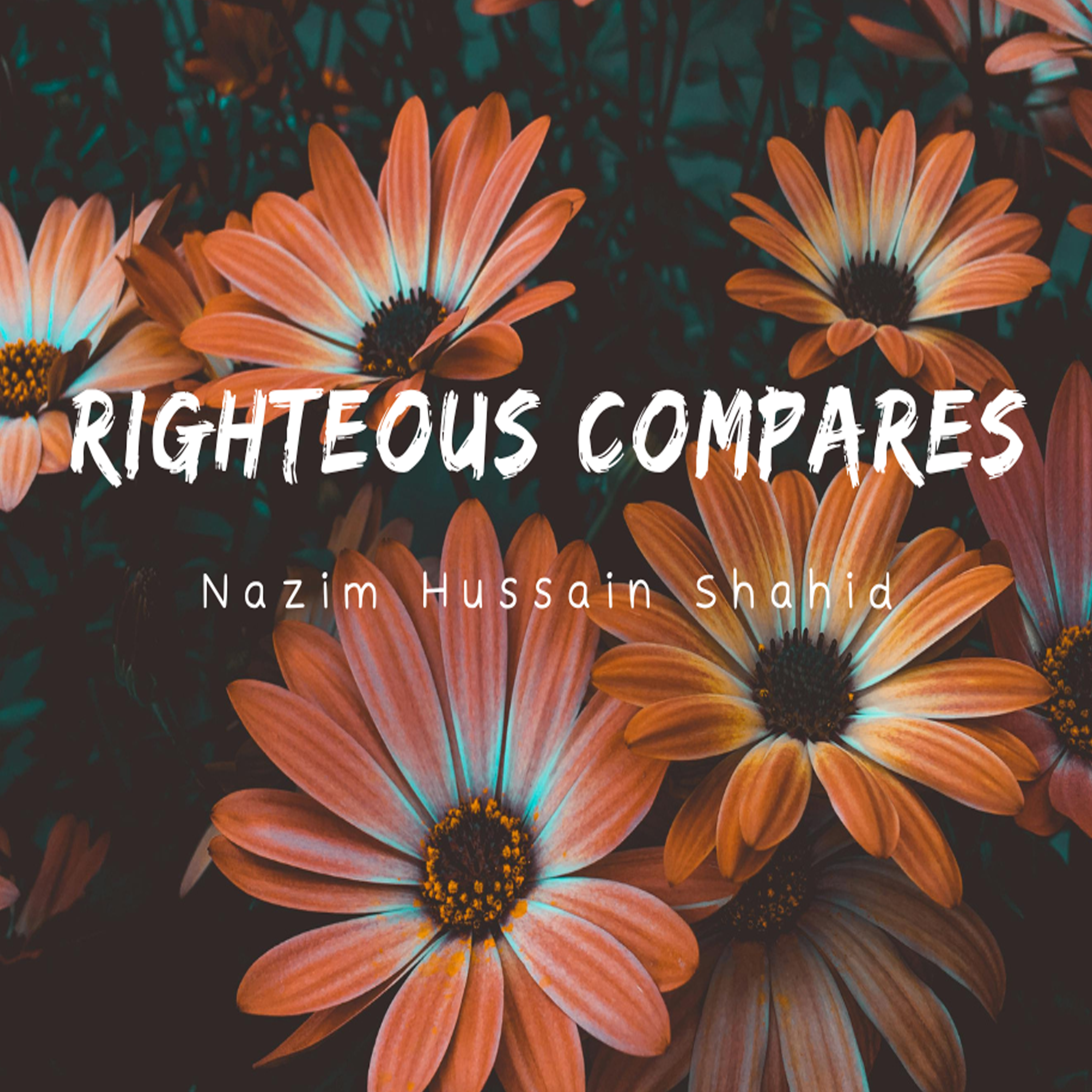 Righteous Compares artwork