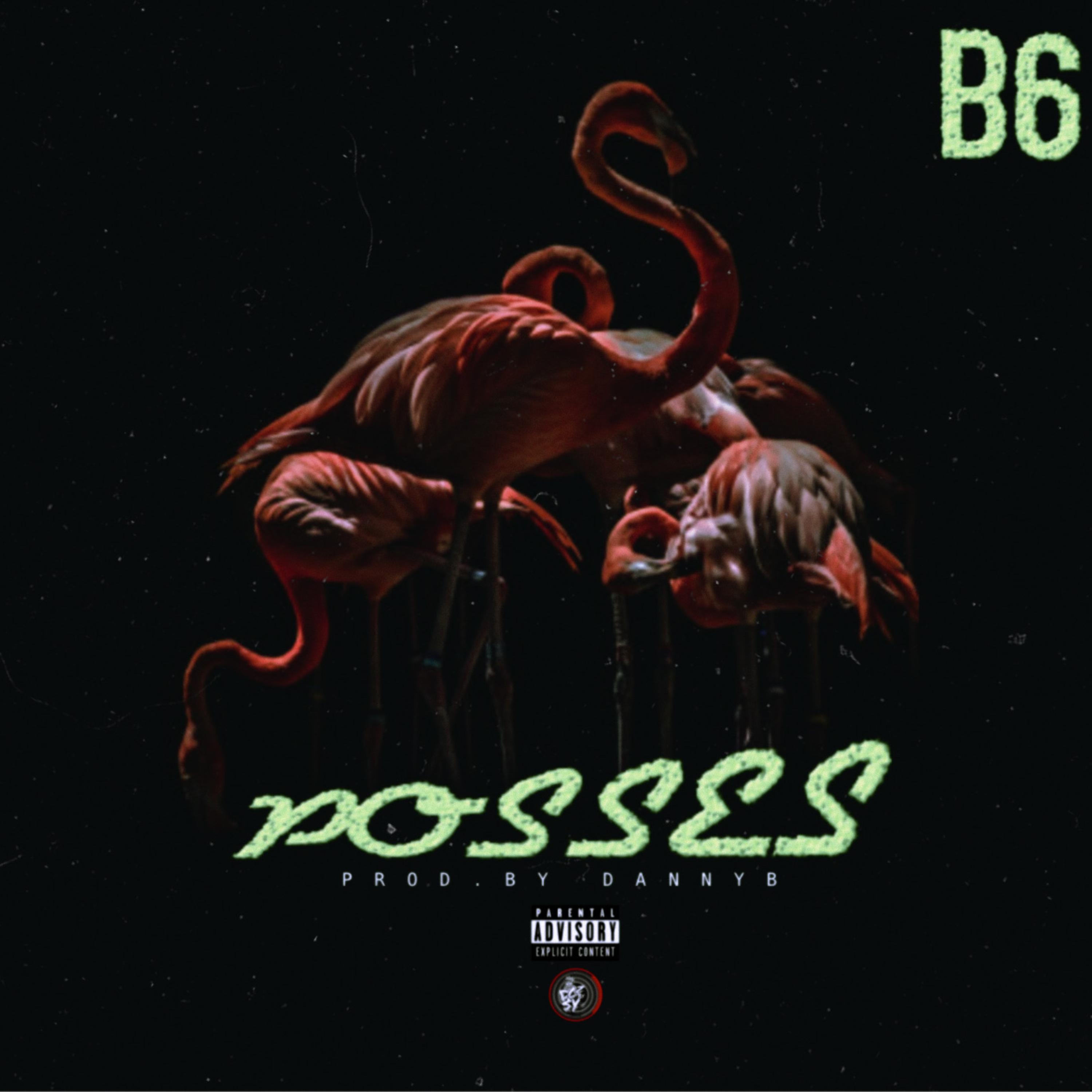 Posses artwork