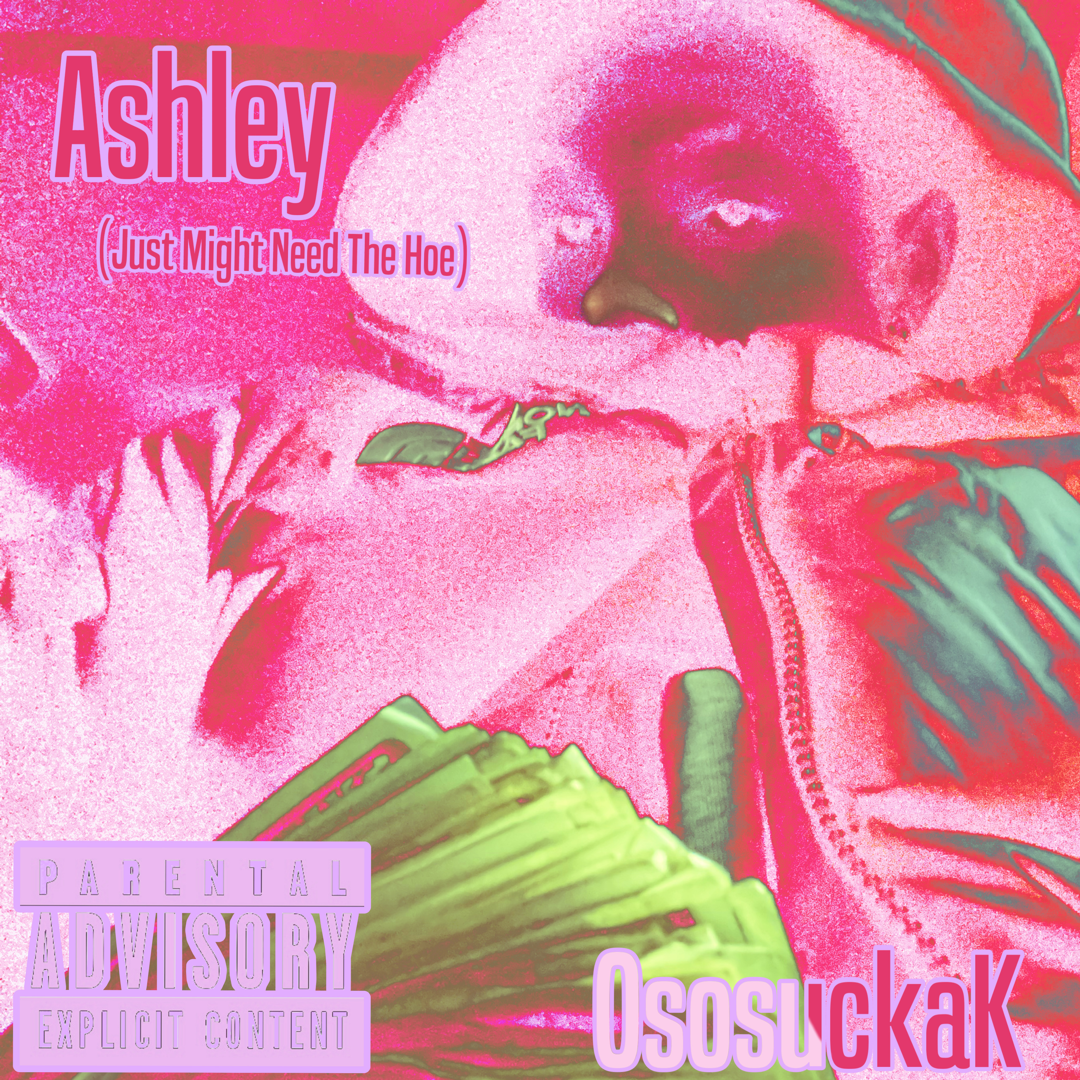 Ashley ( Just Might Need The Hoe ) artwork