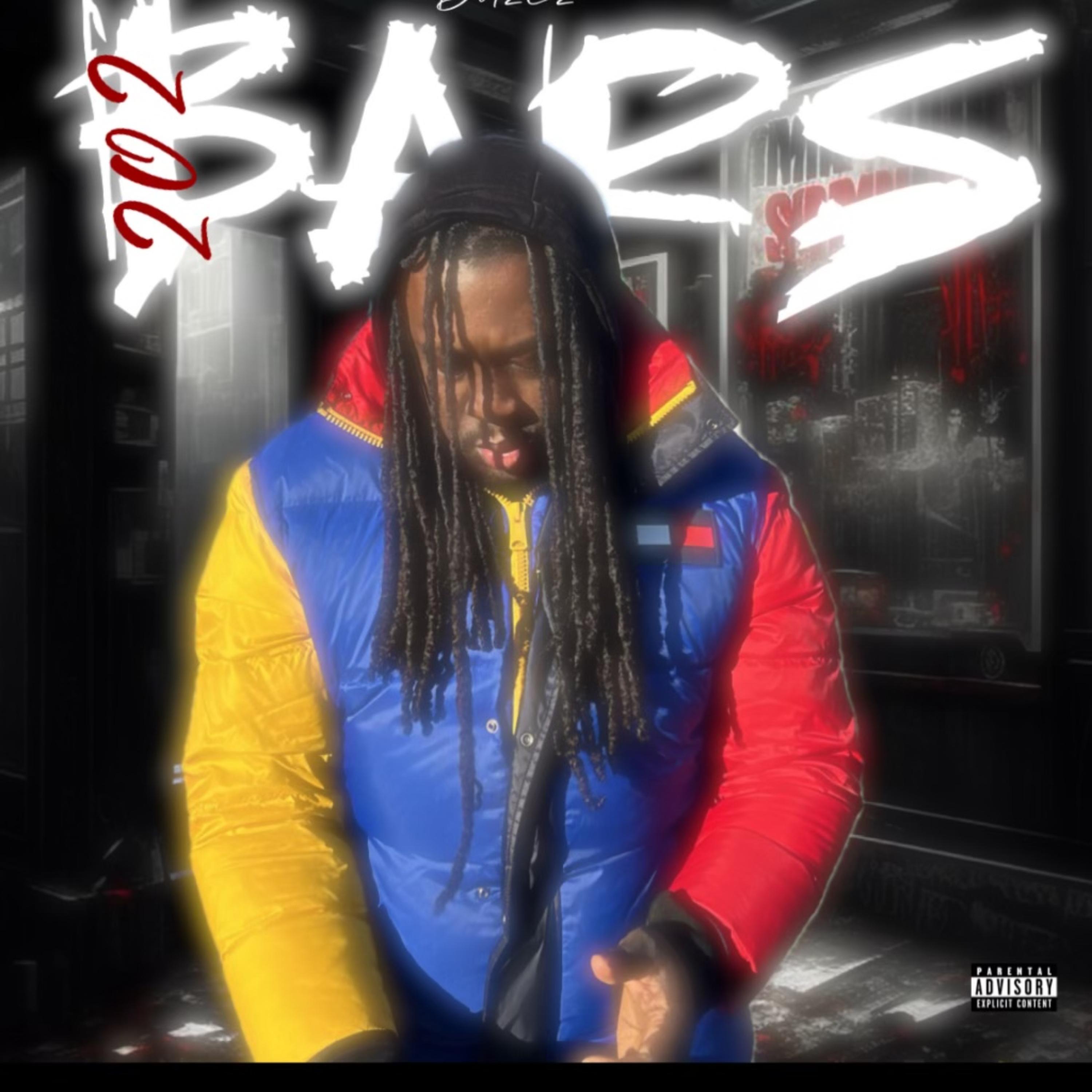 202 Bars artwork
