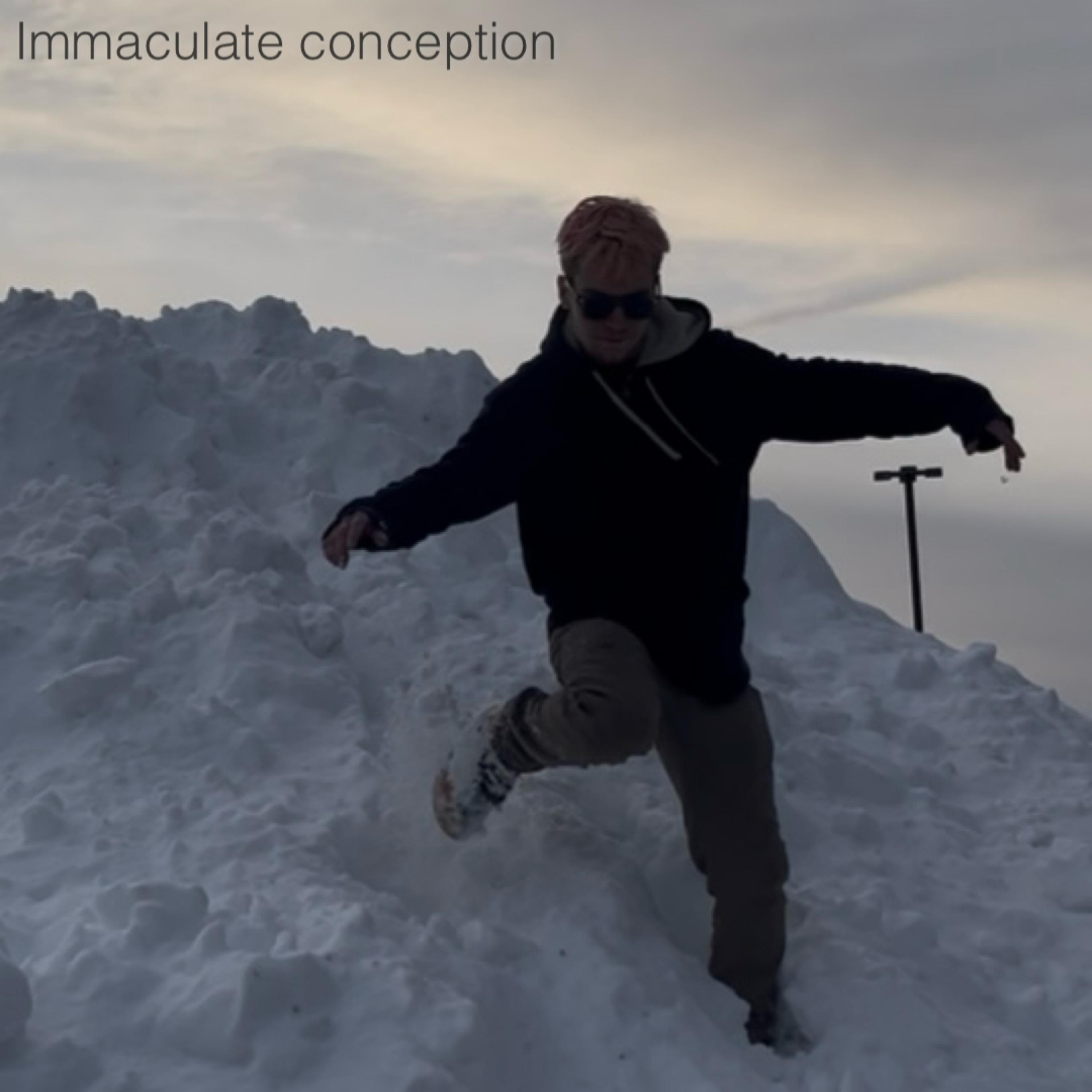 Immaculate Conception artwork