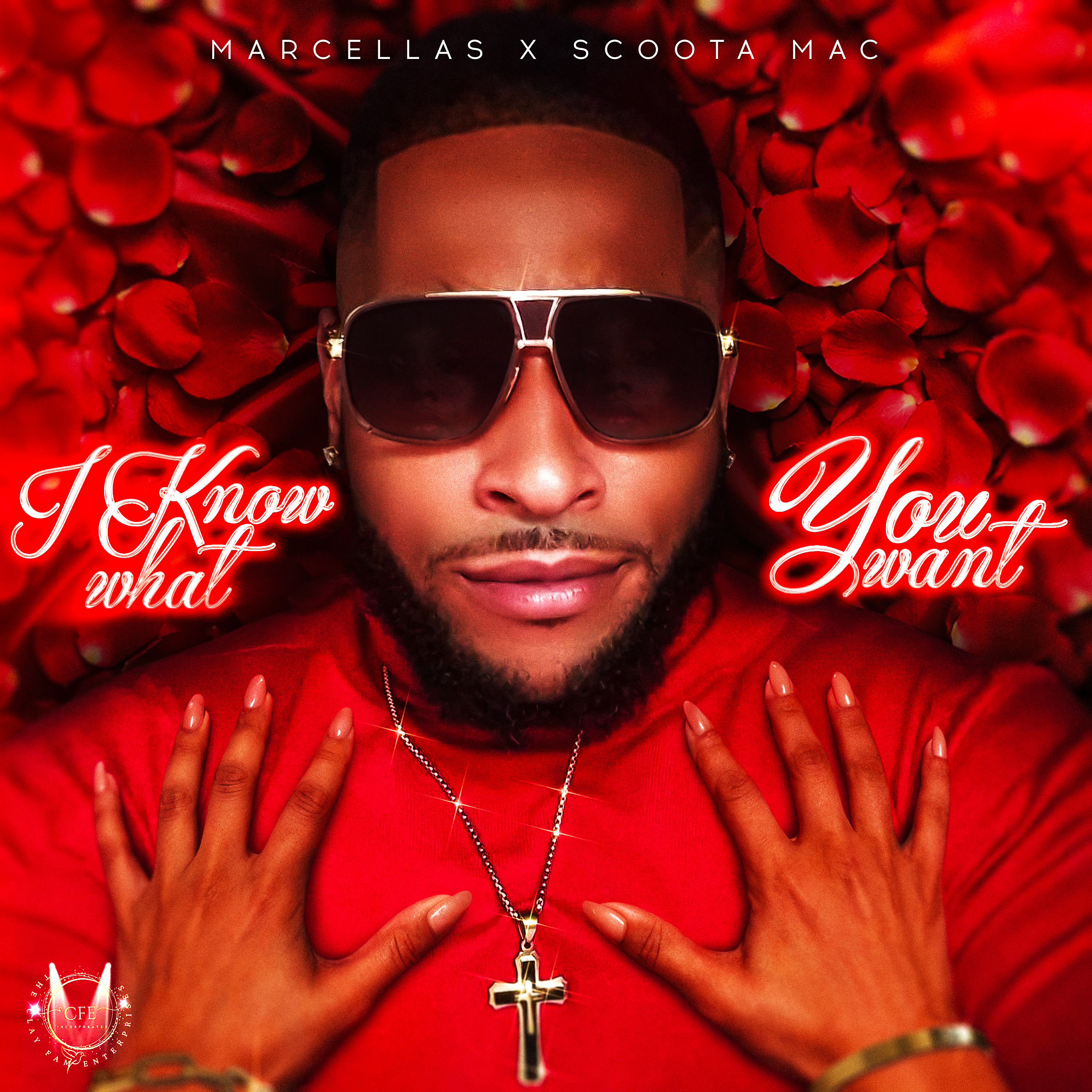 I Know What You Want artwork