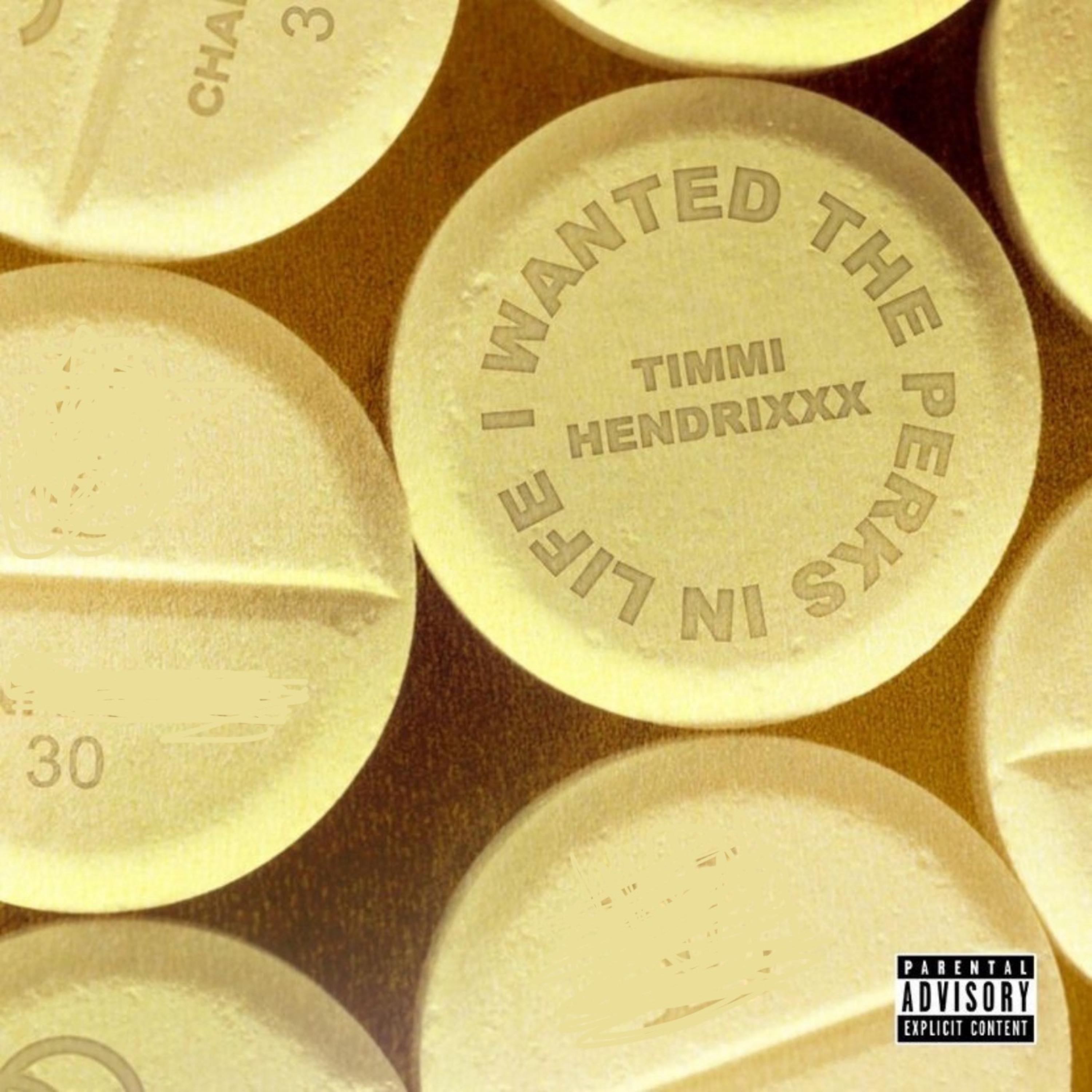 I Wanted The Perks In Life artwork