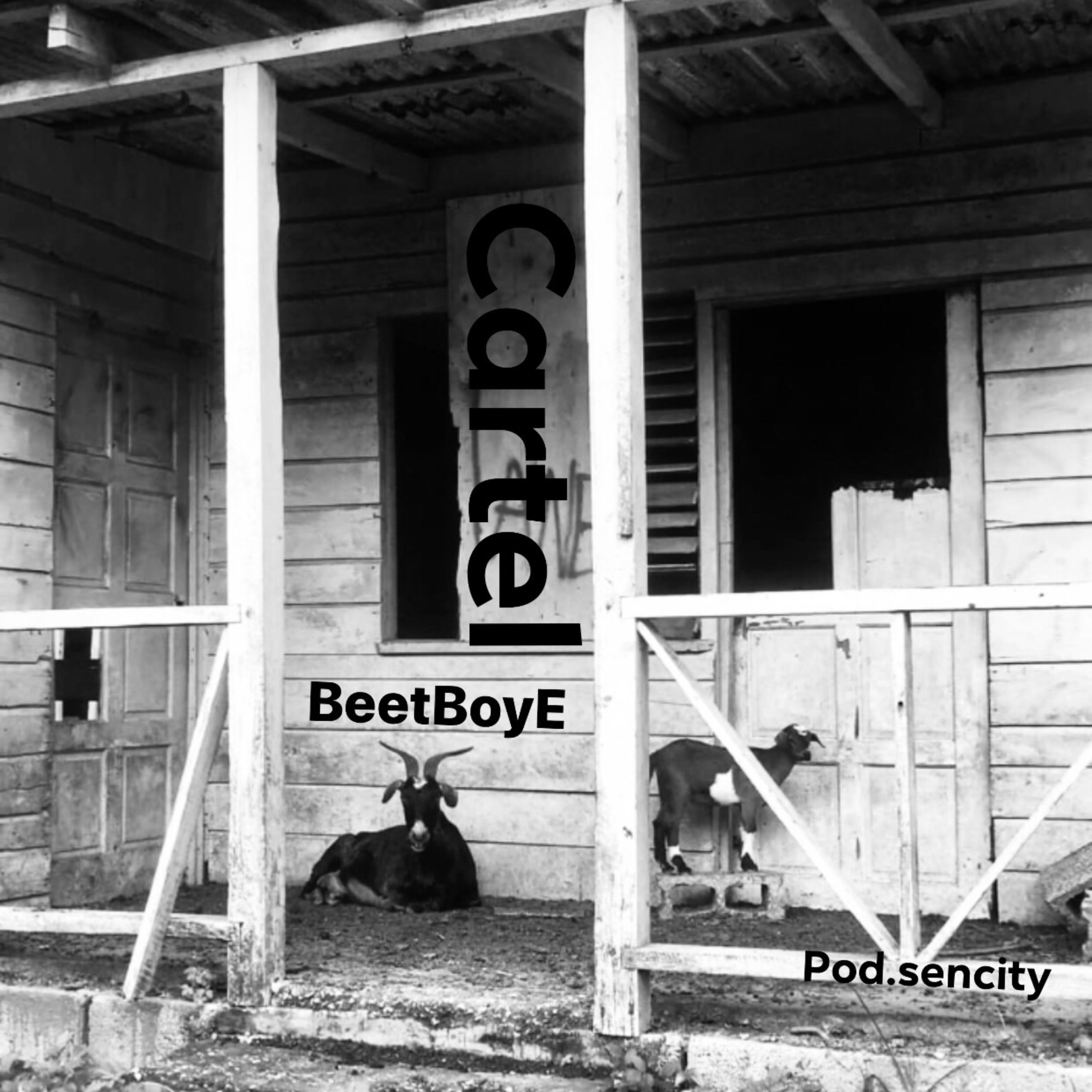 Cartel by BeetboyE cover art