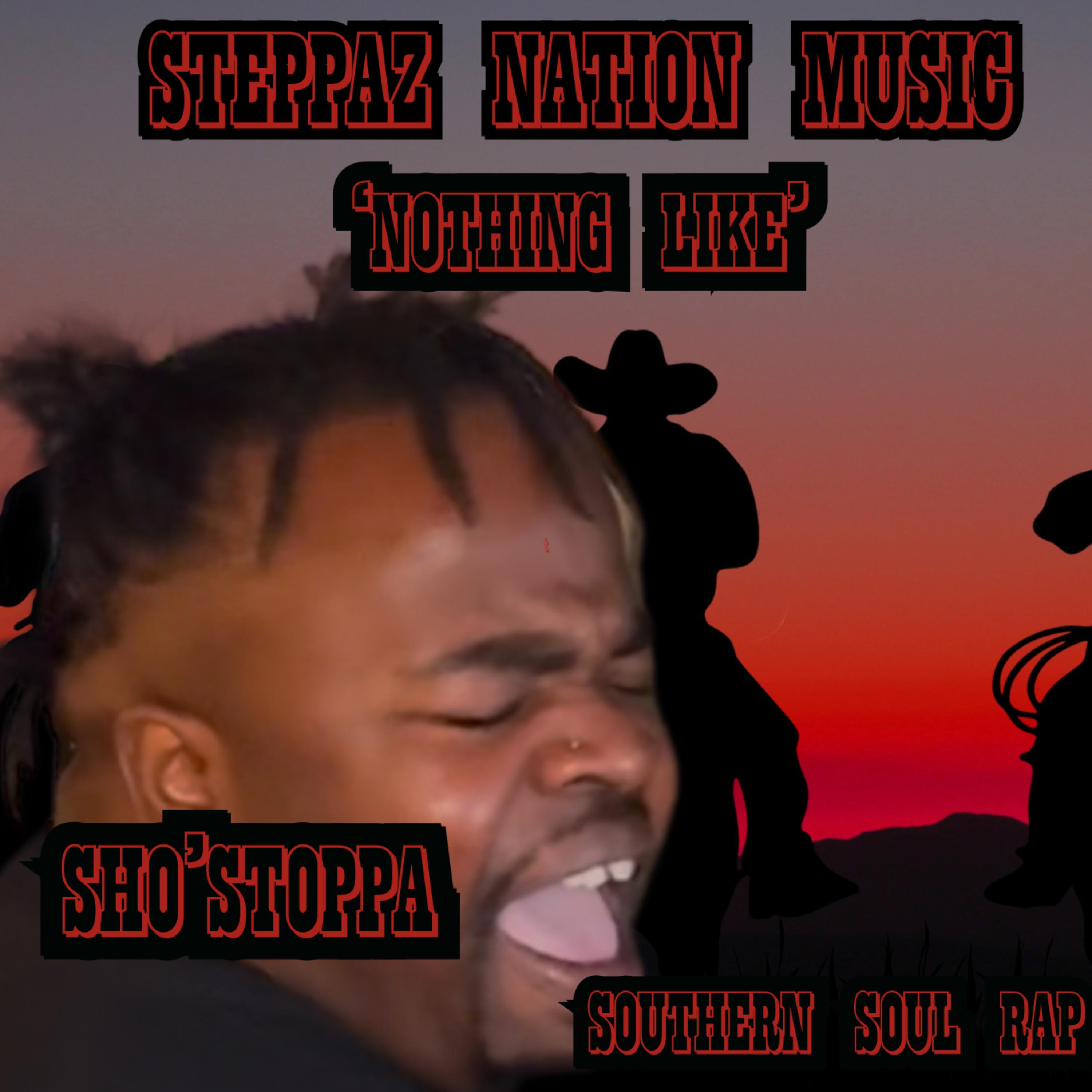 Nothing Like artwork