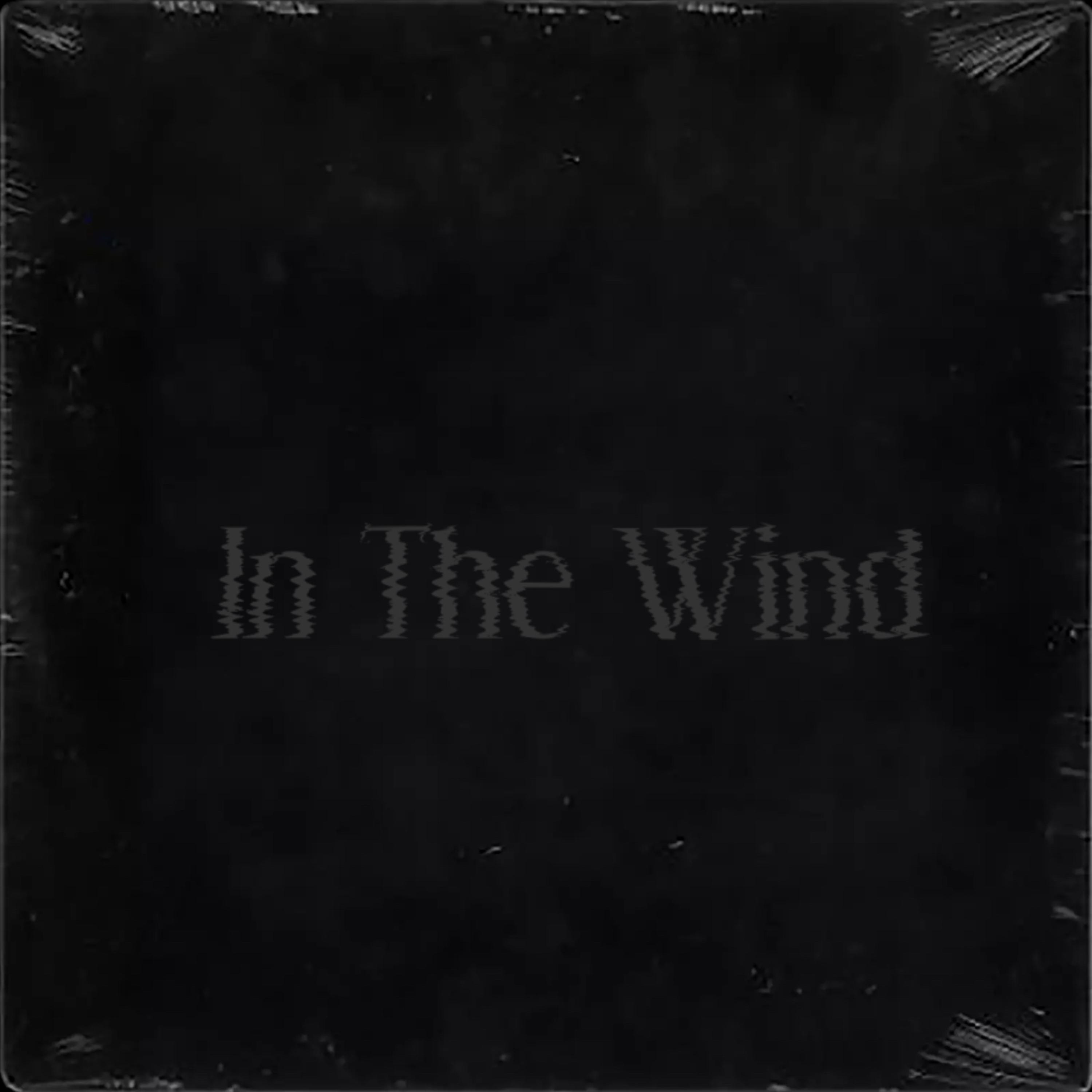 In The Wind artwork